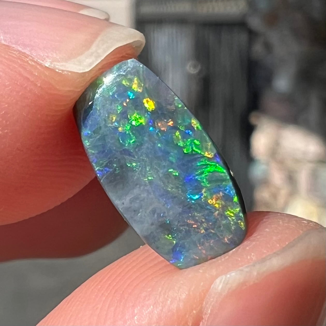A loose 1.76ct barrel shaped black opal stone from Lightning Ridge, Australia. The opal has a rainbow of colors.