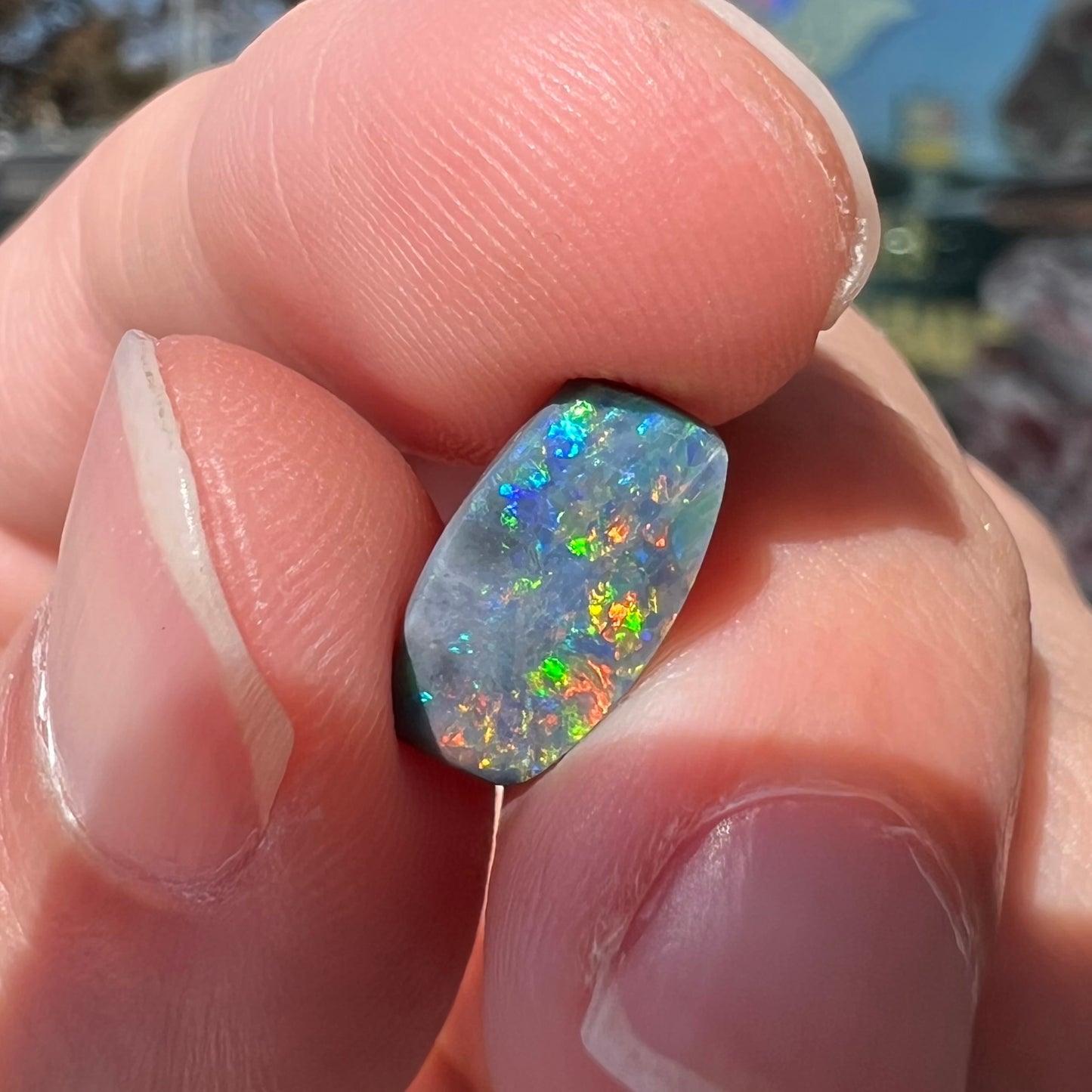 A loose 1.76ct barrel shaped black opal stone from Lightning Ridge, Australia. The opal has a rainbow of colors.