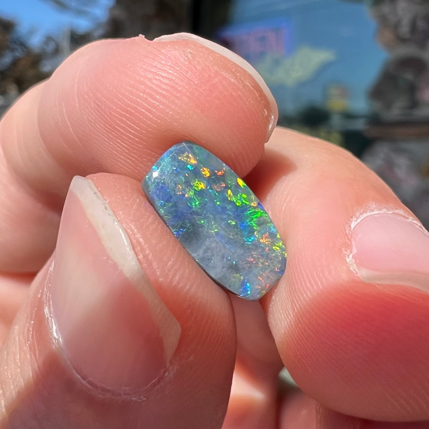 A loose 1.76ct barrel shaped black opal stone from Lightning Ridge, Australia. The opal has a rainbow of colors.
