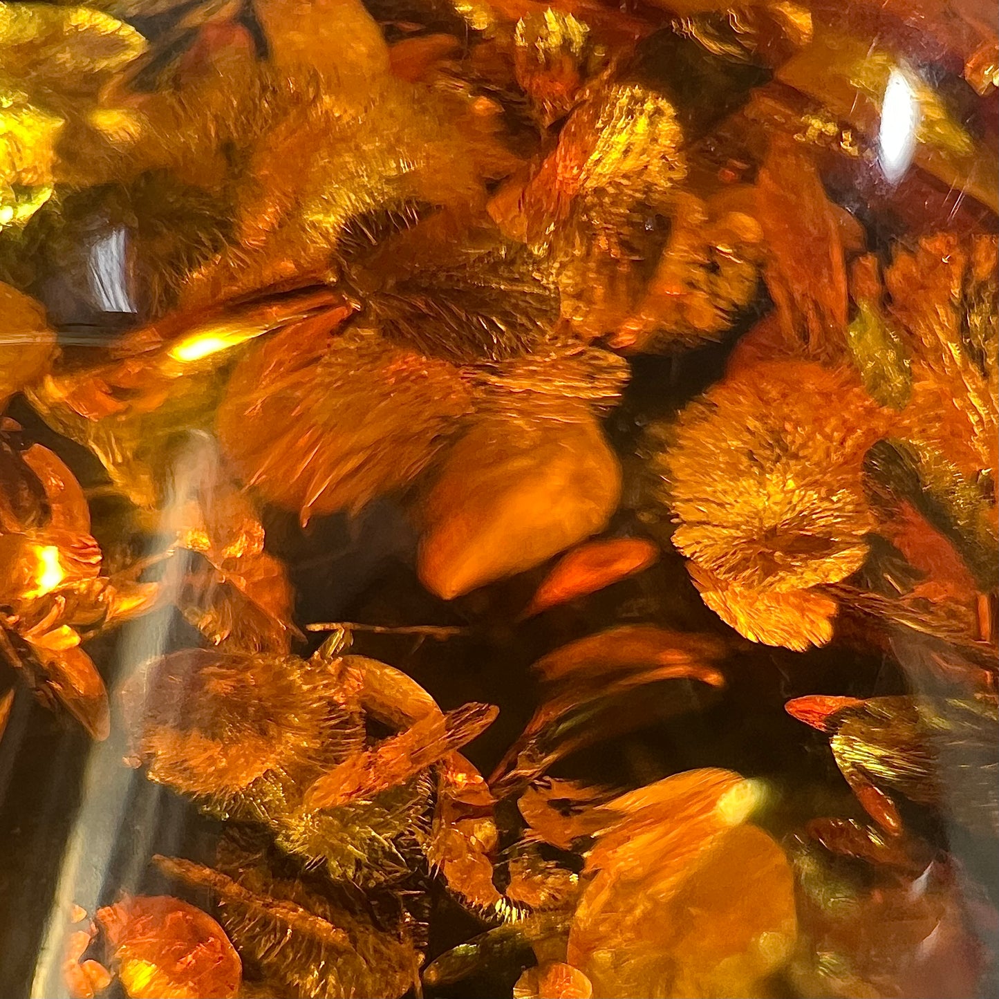 Unisex silver pendant set with a sun-spangled Mexican amber stone, featuring silver leaf design accents.