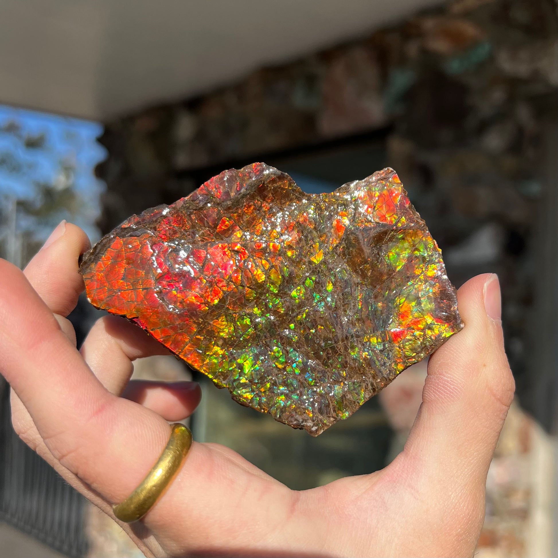 A polished ammolite specimen.  The stone displays a brilliant rainbow of iridescent colors.