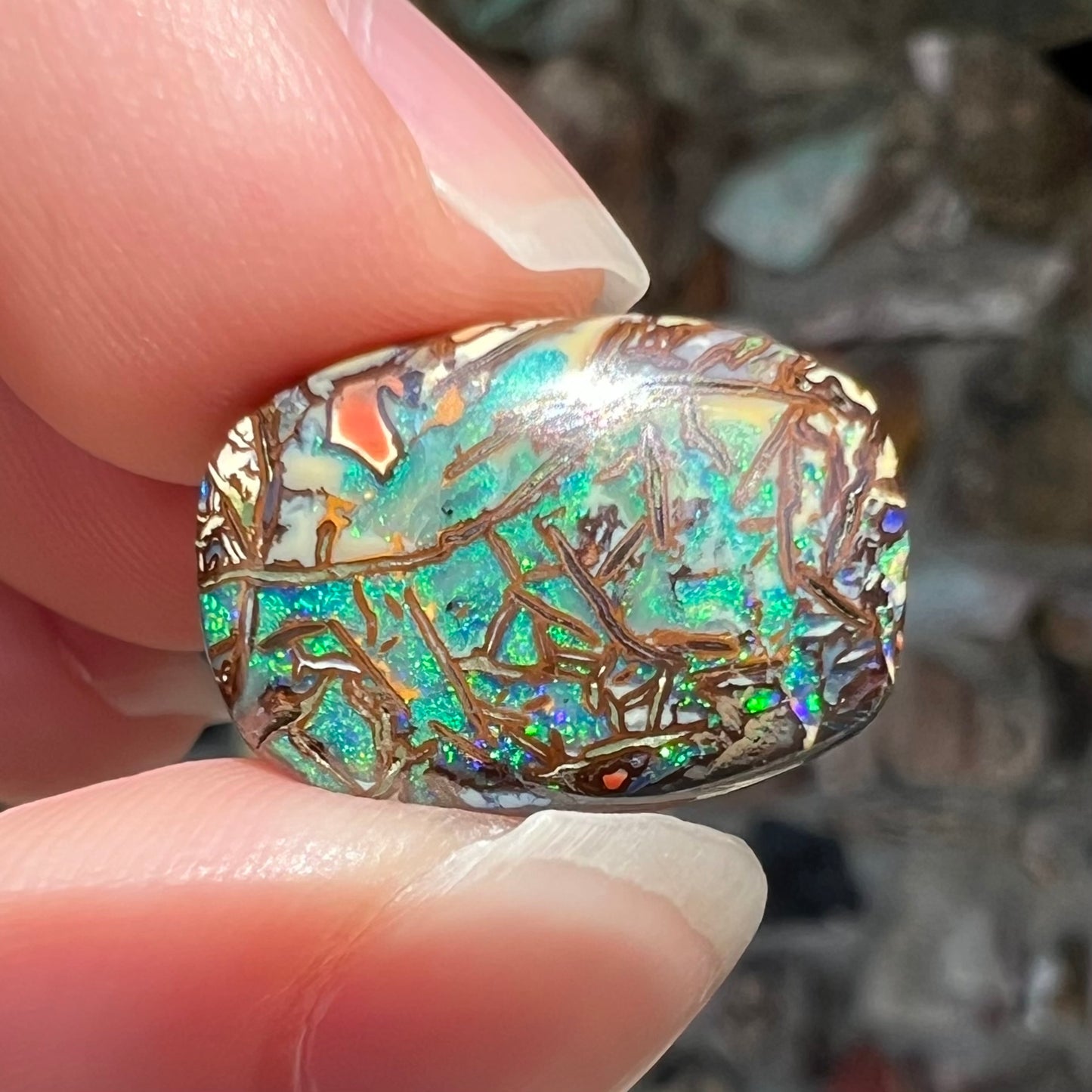 A barrel shaped boulder matrix opal from Koroit, Australia. The opal has blue fire.
