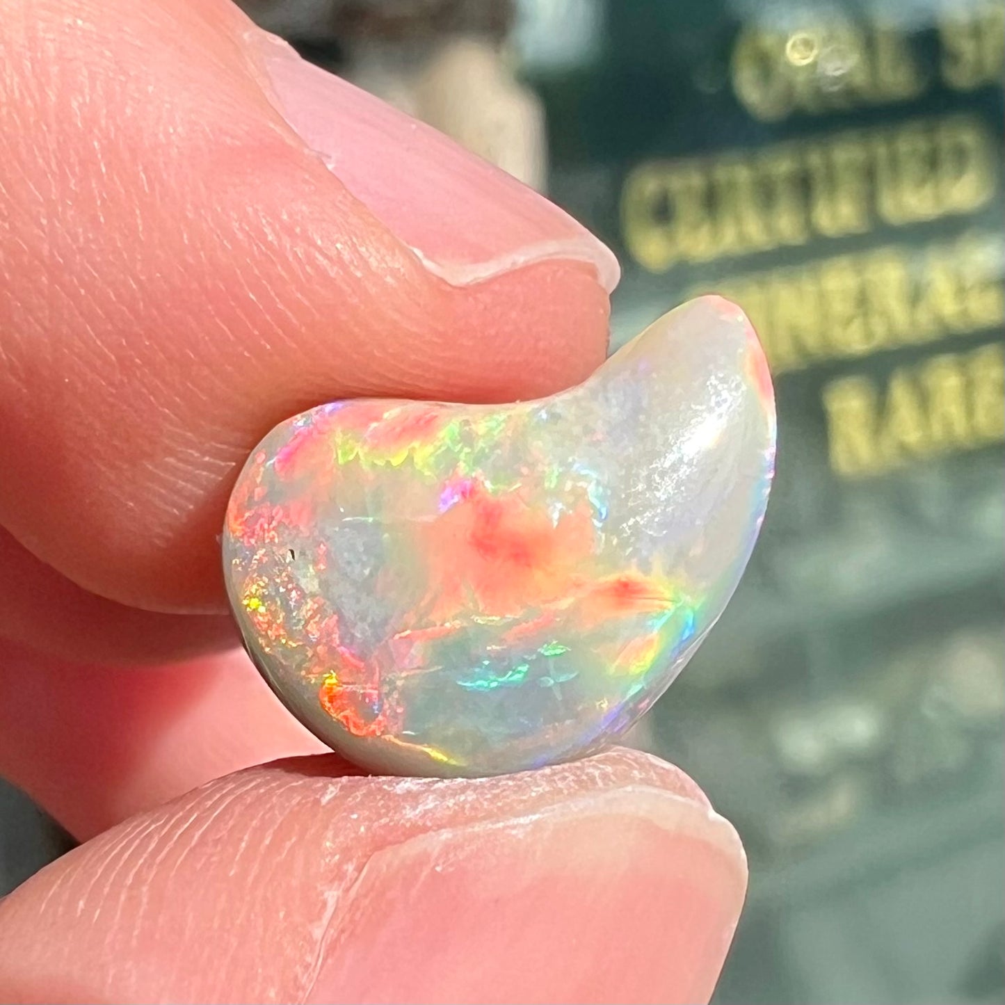 A loose, drop shaped opal stone from Lightning Ridge, Australia. The stone has bright red fire.