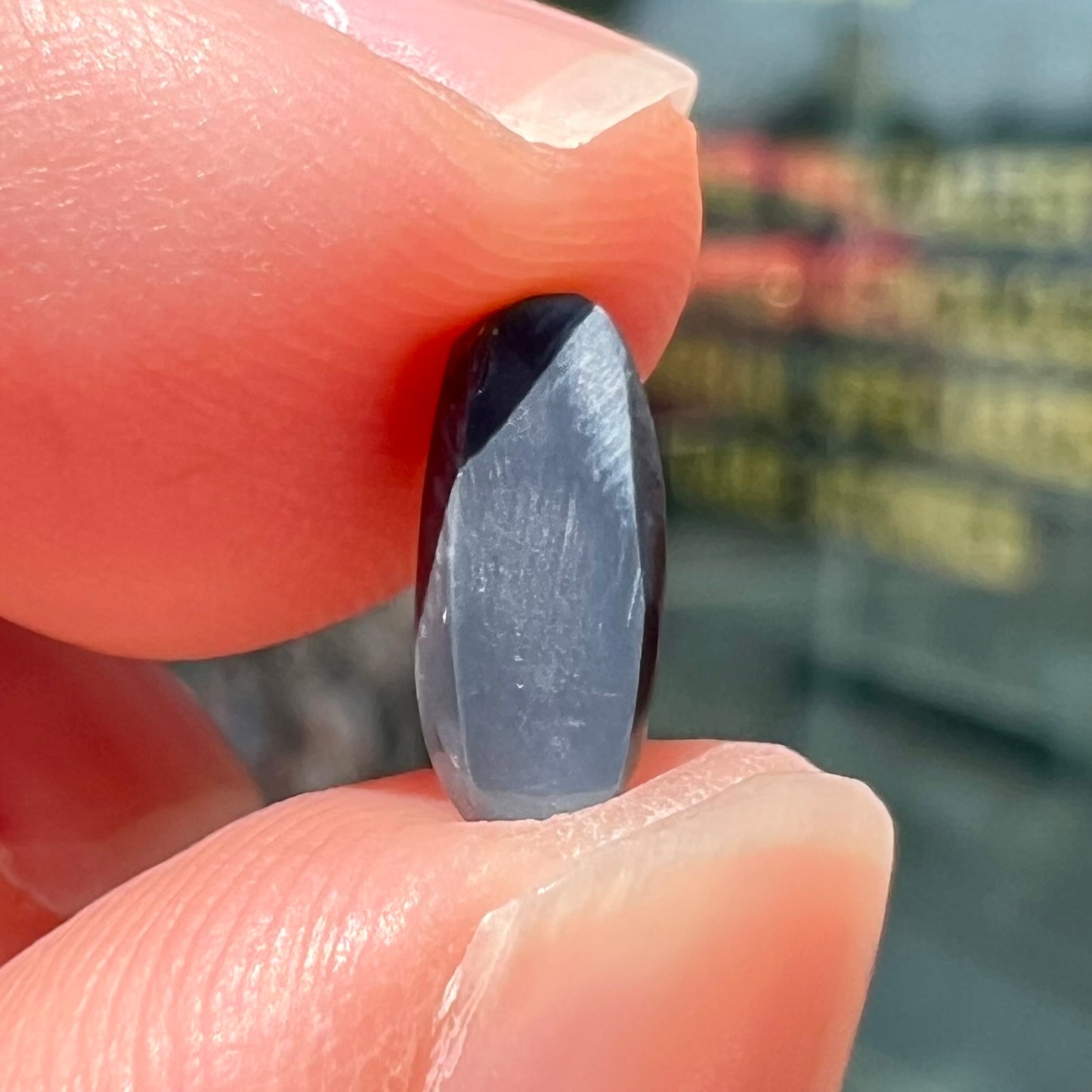 A loose black opal from Lightning Ridge, Australia.  The opal shines colors of red, green, and blue.