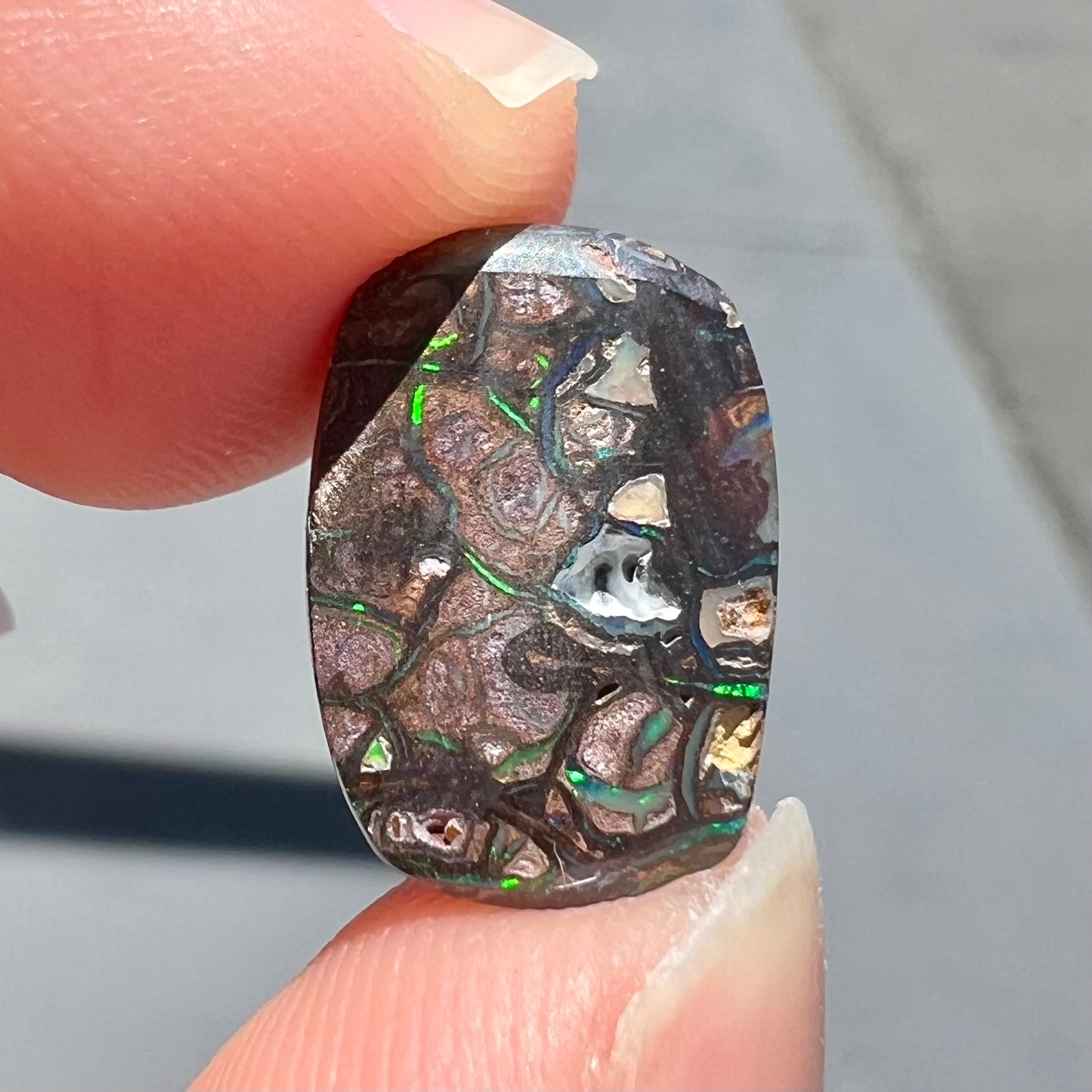 A loose, Koroit boulder opal stone. The opal plays bright blue and green colors on a patterned matrix.