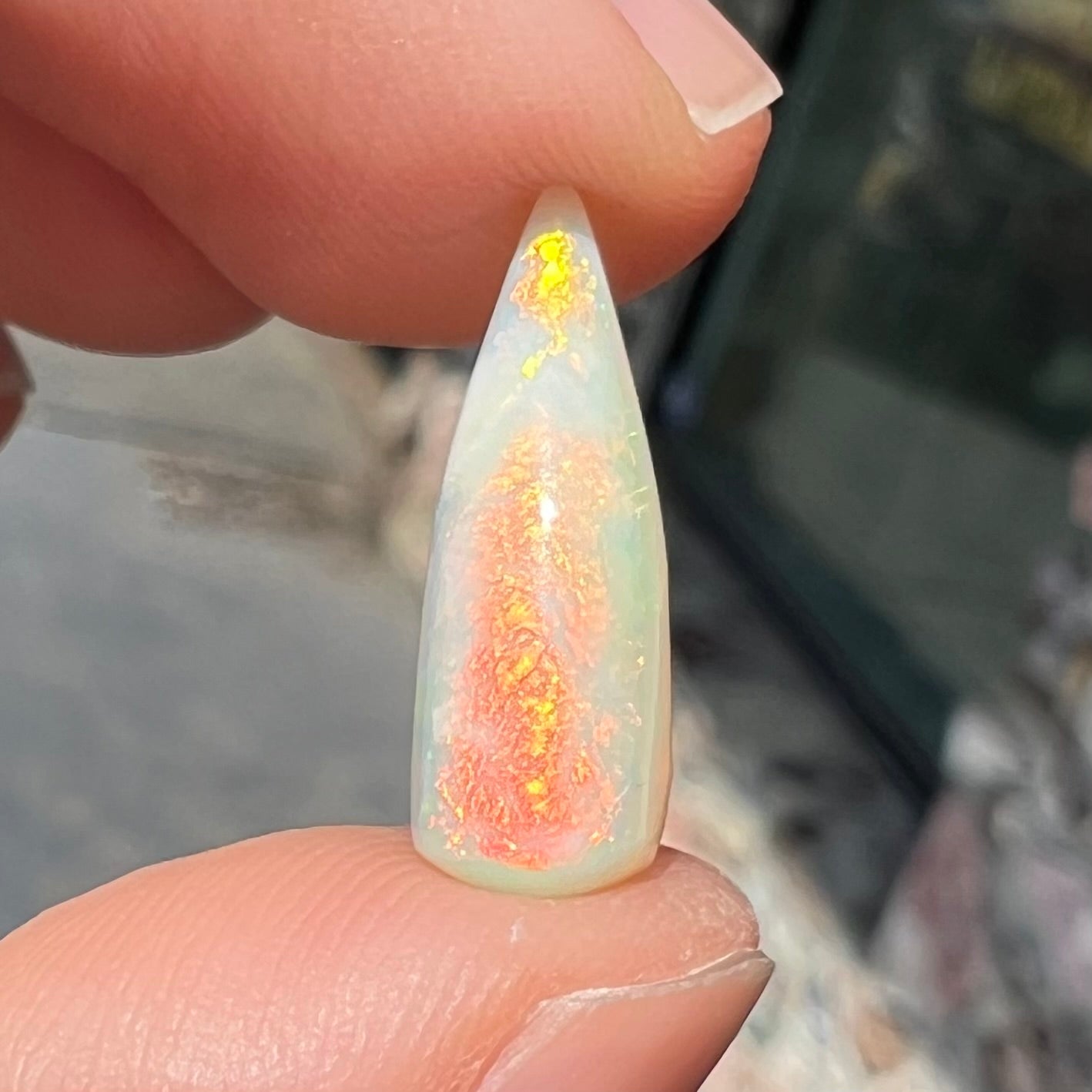 An opalized belemnite fossil from Coober Pedy, Australia. The specimen has red, yellow, and green play of color.