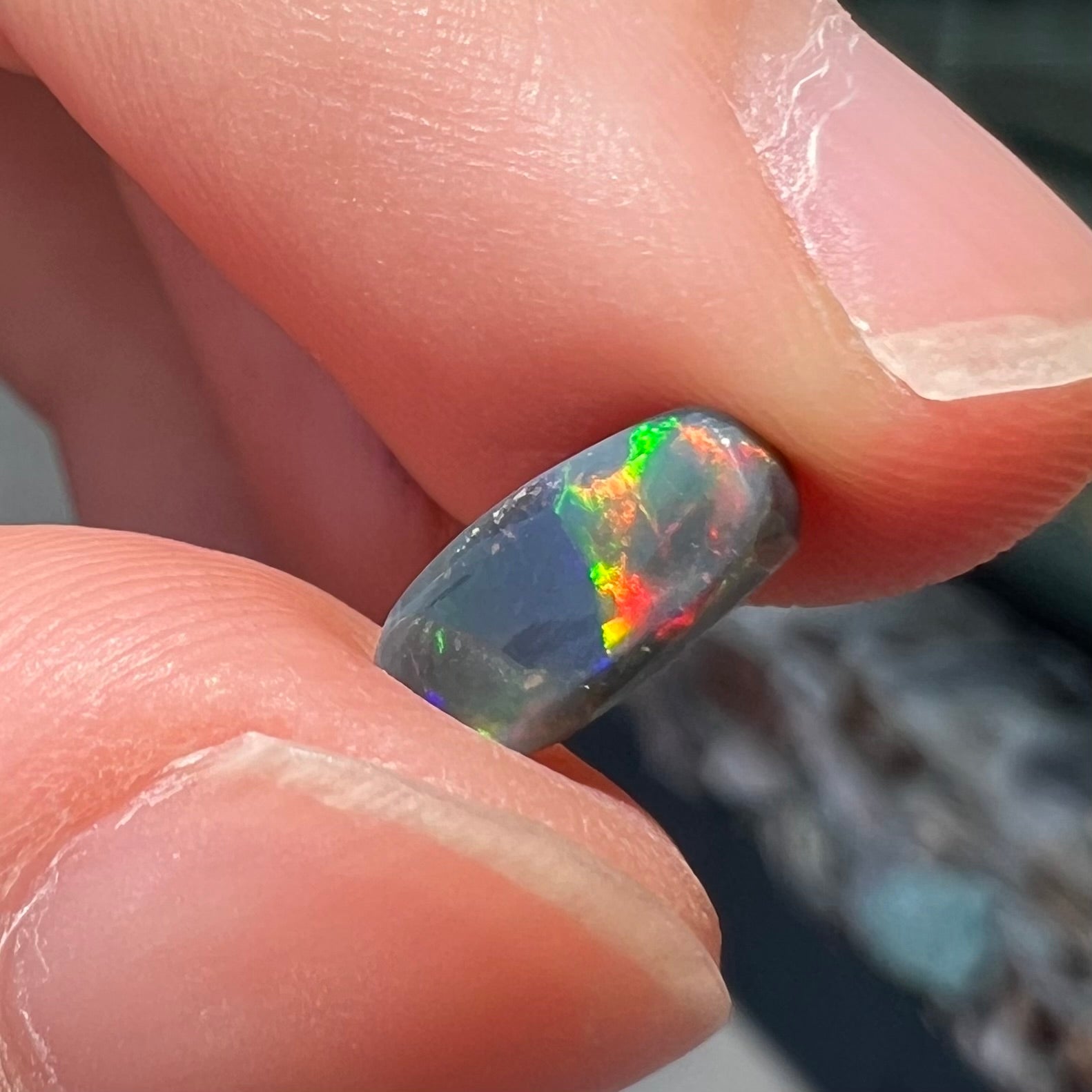 A loose black opal from Lightning Ridge, Australia.  The opal shines colors of red, green, and blue.