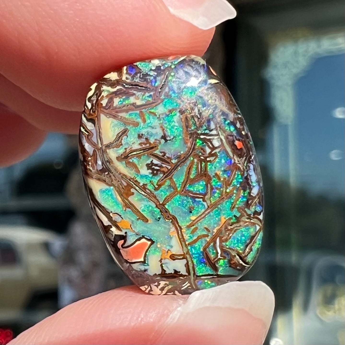 A barrel shaped boulder matrix opal from Koroit, Australia. The opal has blue fire.