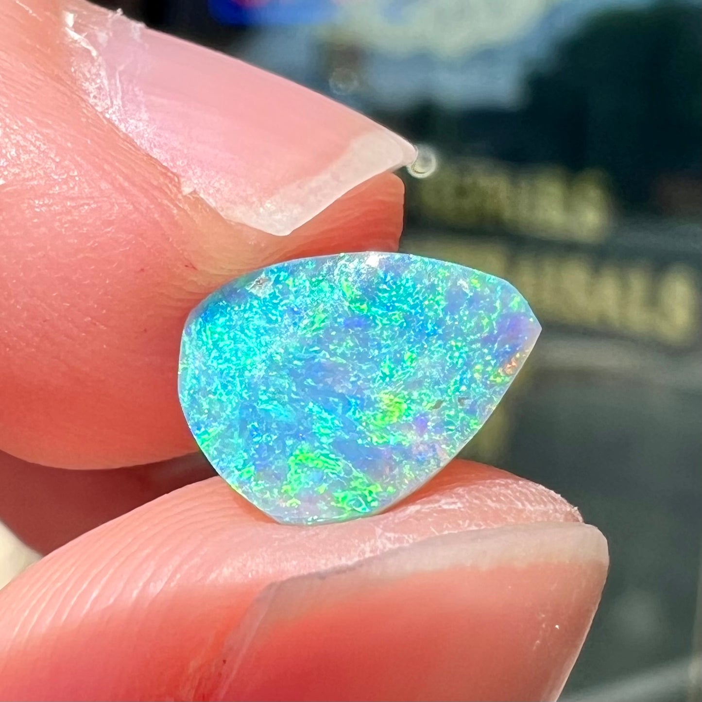 A loose, pear shaped black opal from LIghtning Ridge, Australia. The opal shines blue and green colors.
