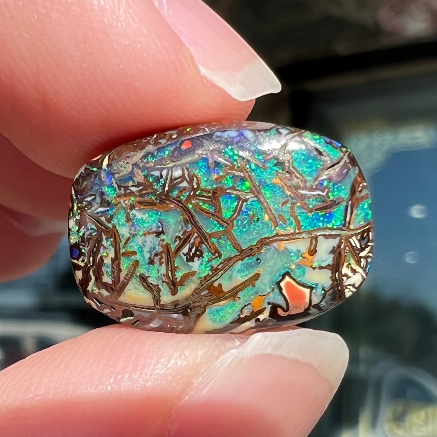 A barrel shaped boulder matrix opal from Koroit, Australia. The opal has blue fire.