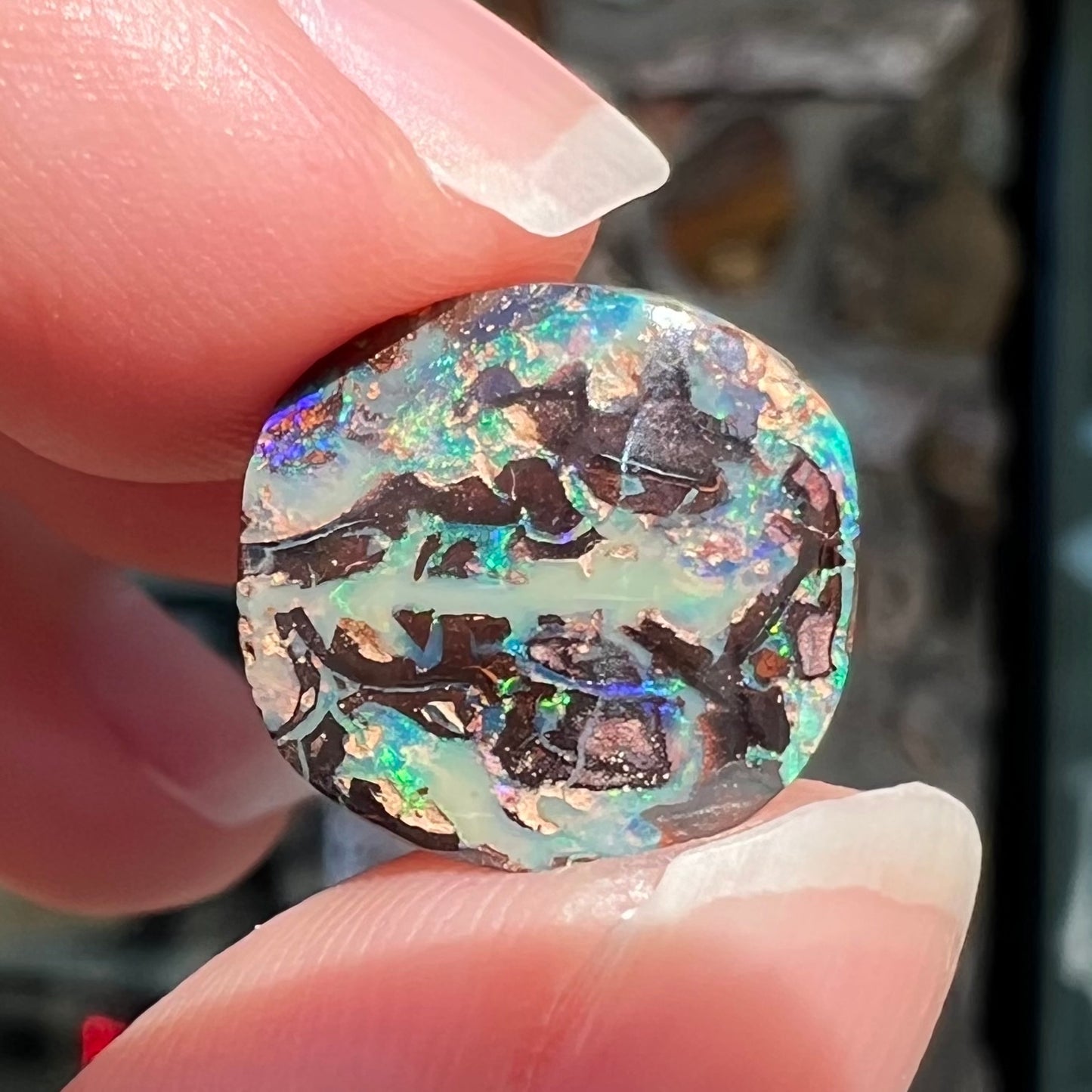 An off-round cabochon cut boulder opal stone from Koroit, Australia. The opal has green, blue, and red colors.