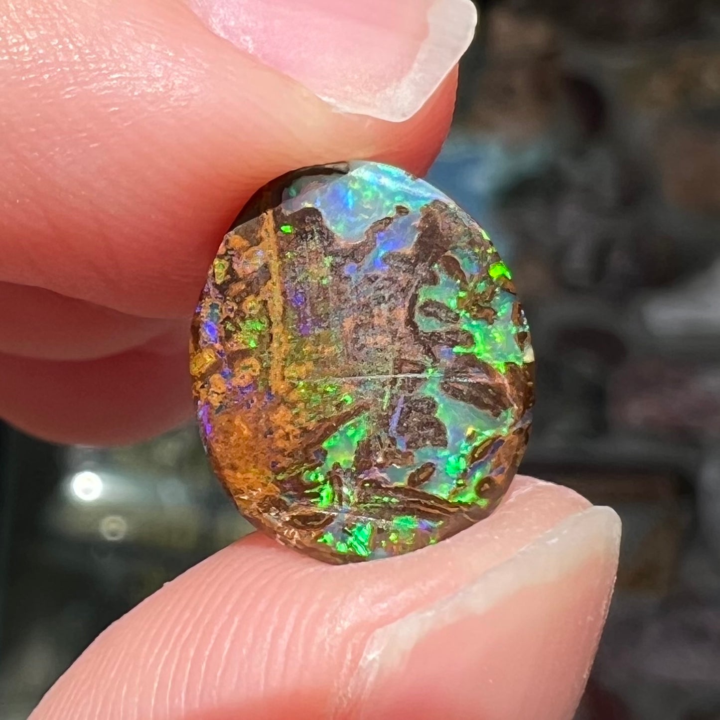 A bright green boulder opal stone from Koroit, Australia.