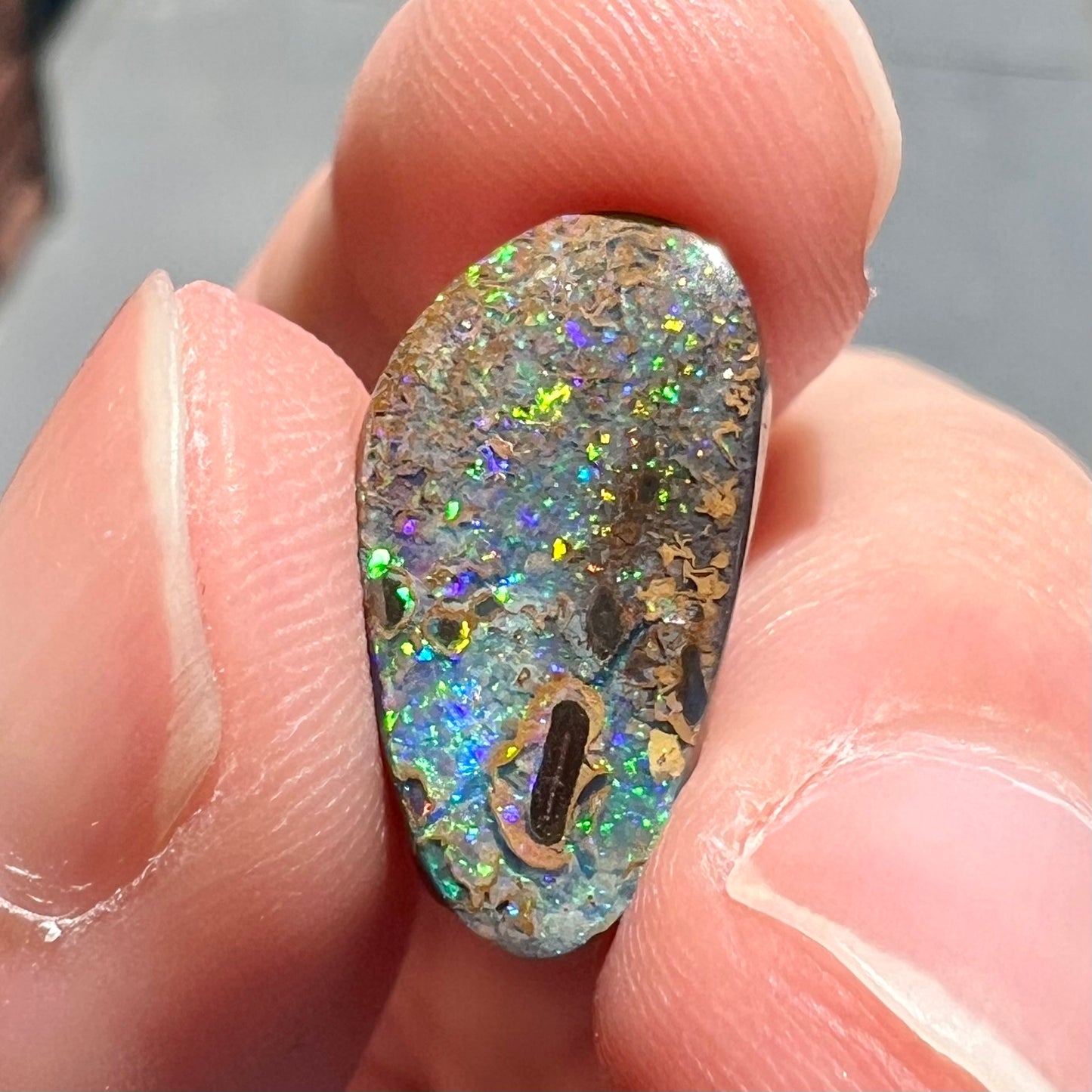 A loose boulder opal stone from Quilpie, Australia. The opal shines colors of green and orange.