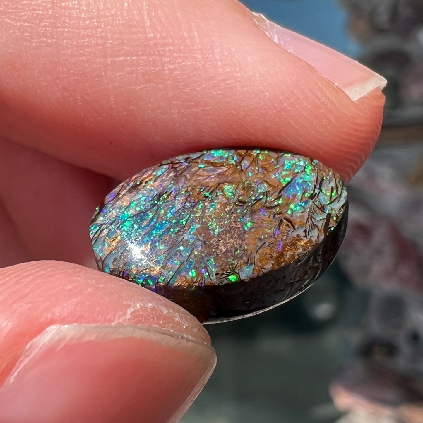A loose, oval cabochon cut matrix boulder opal stone from Koroit, Australia. The opal shines with green and blue colors.