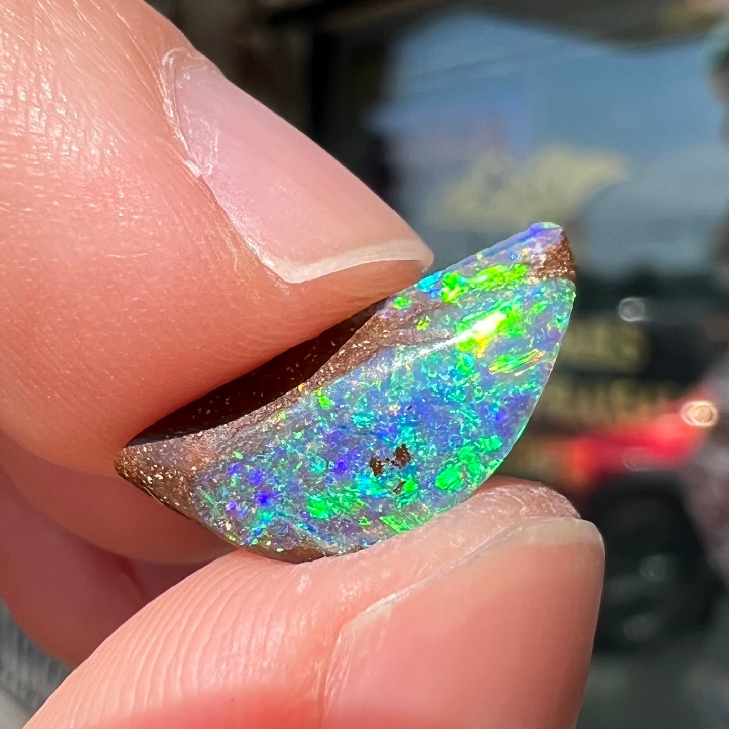 A freeform shaped boulder opal stone from Quilpie, Australia. The opal has bright blue and green play of color.
