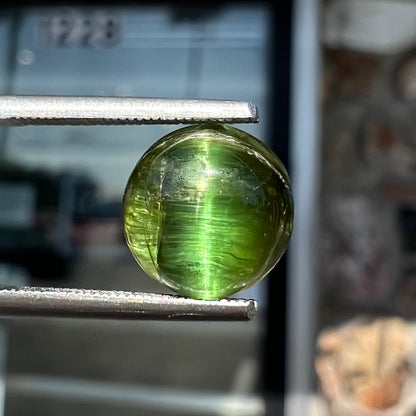 A loose, round cabochon cut green tourmaline stone that displays a cat's eye phenomenon.
