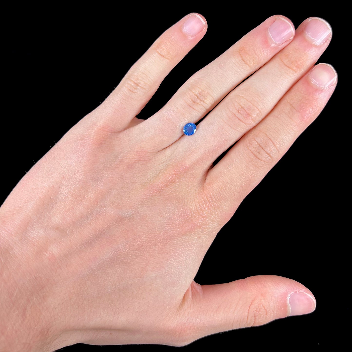 A loose, faceted oval cut natural blue sapphire. The color is a dark cornflower blue.