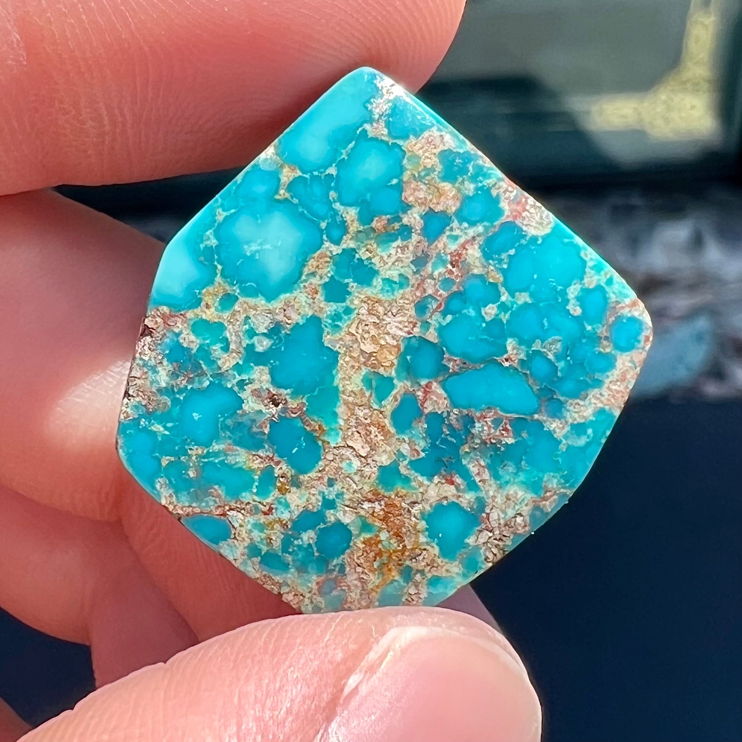 A loose turquoise stone from the Godber-Burnham mine in Lander County, Nevada.