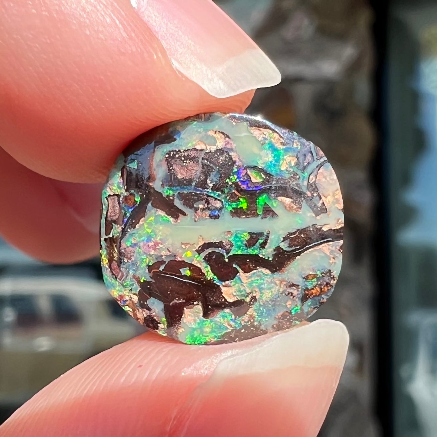 An off-round cabochon cut boulder opal stone from Koroit, Australia. The opal has green, blue, and red colors.