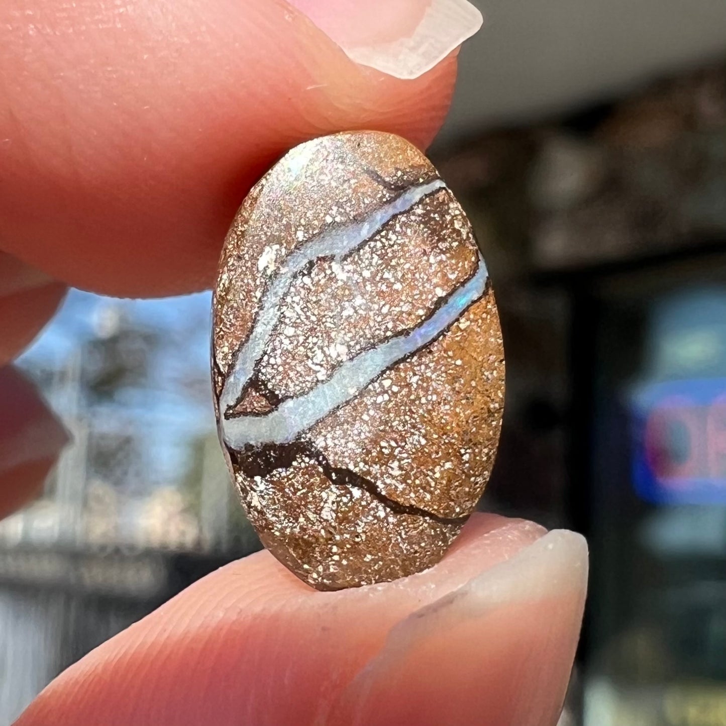 An oval cabochon cut boulder opal from Quilpie, Australia. The opal has multicolor color play.