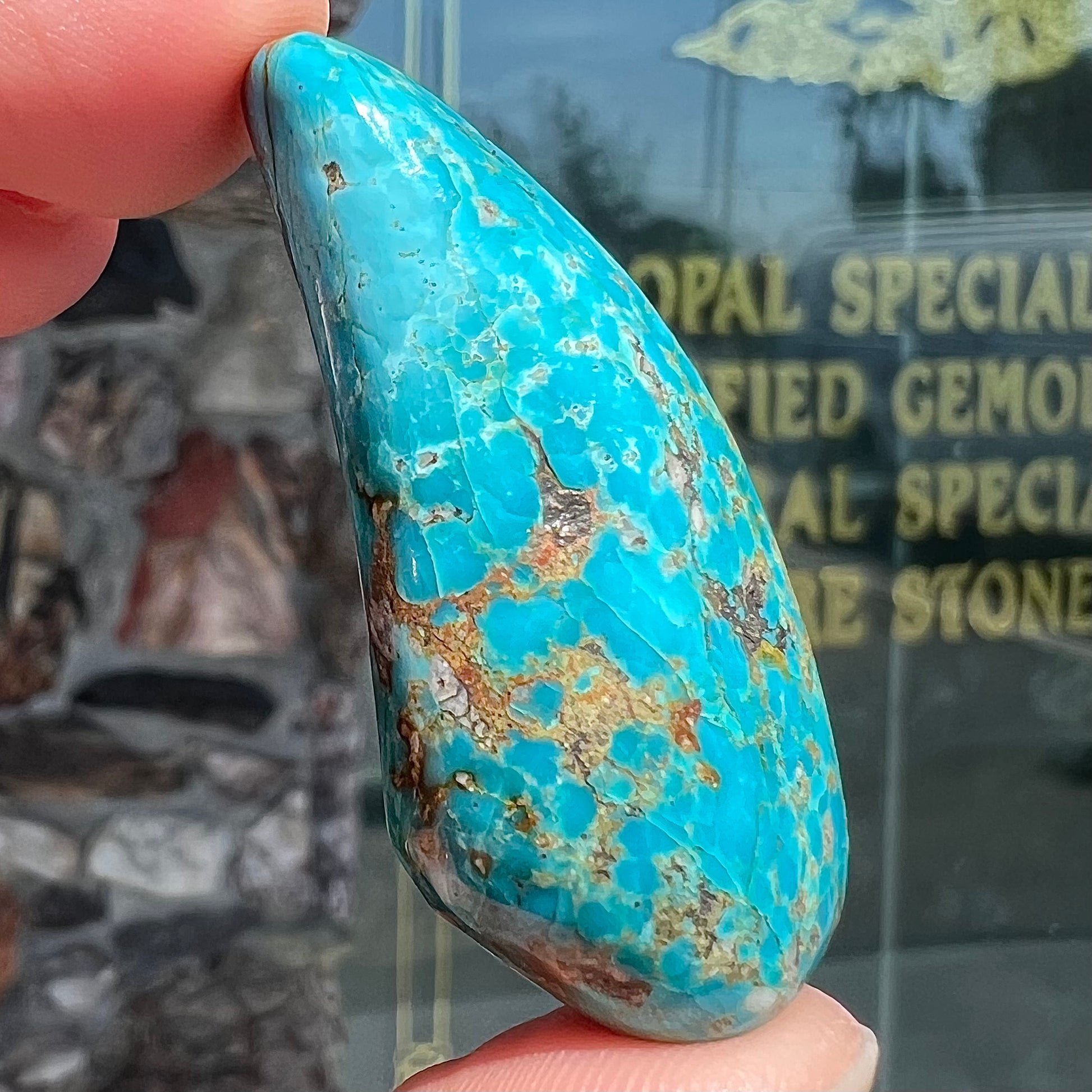 A loose, freeform cabochon cut Kingman turquoise stone from Arizona.  The stone is blue with gray and brown matrix.