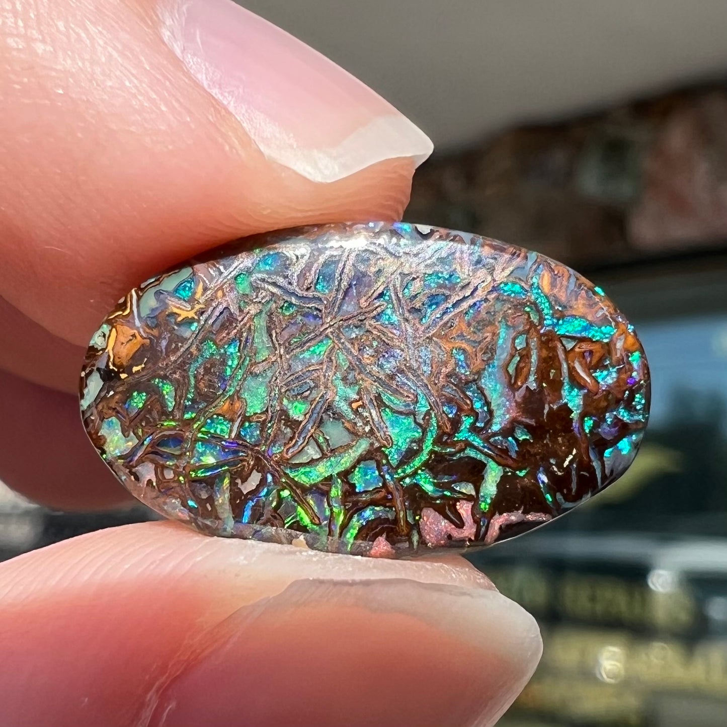 A loose, oval cabochon cut Koroit boulder opal stone. The opal has green and blue veins.