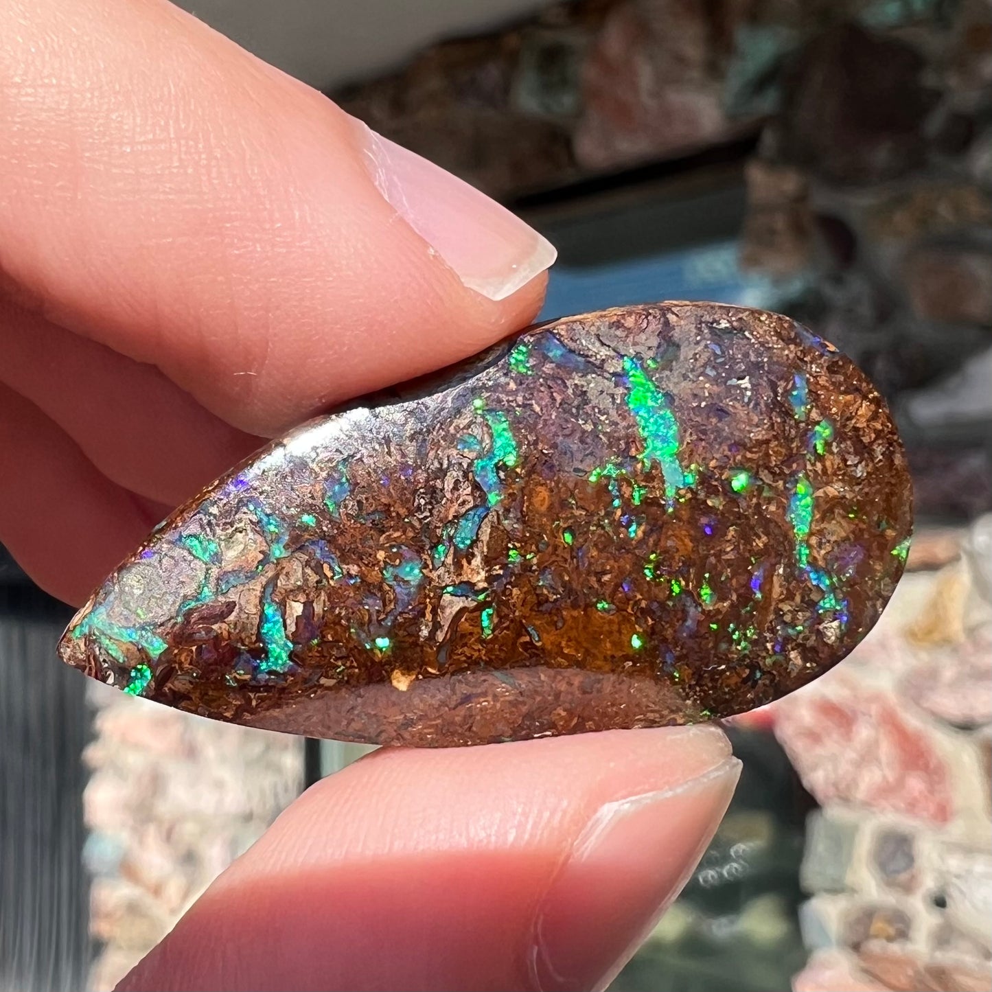 A pear shaped boulder opal stone from Koroit, Australia. The opal has blue and green flashes.