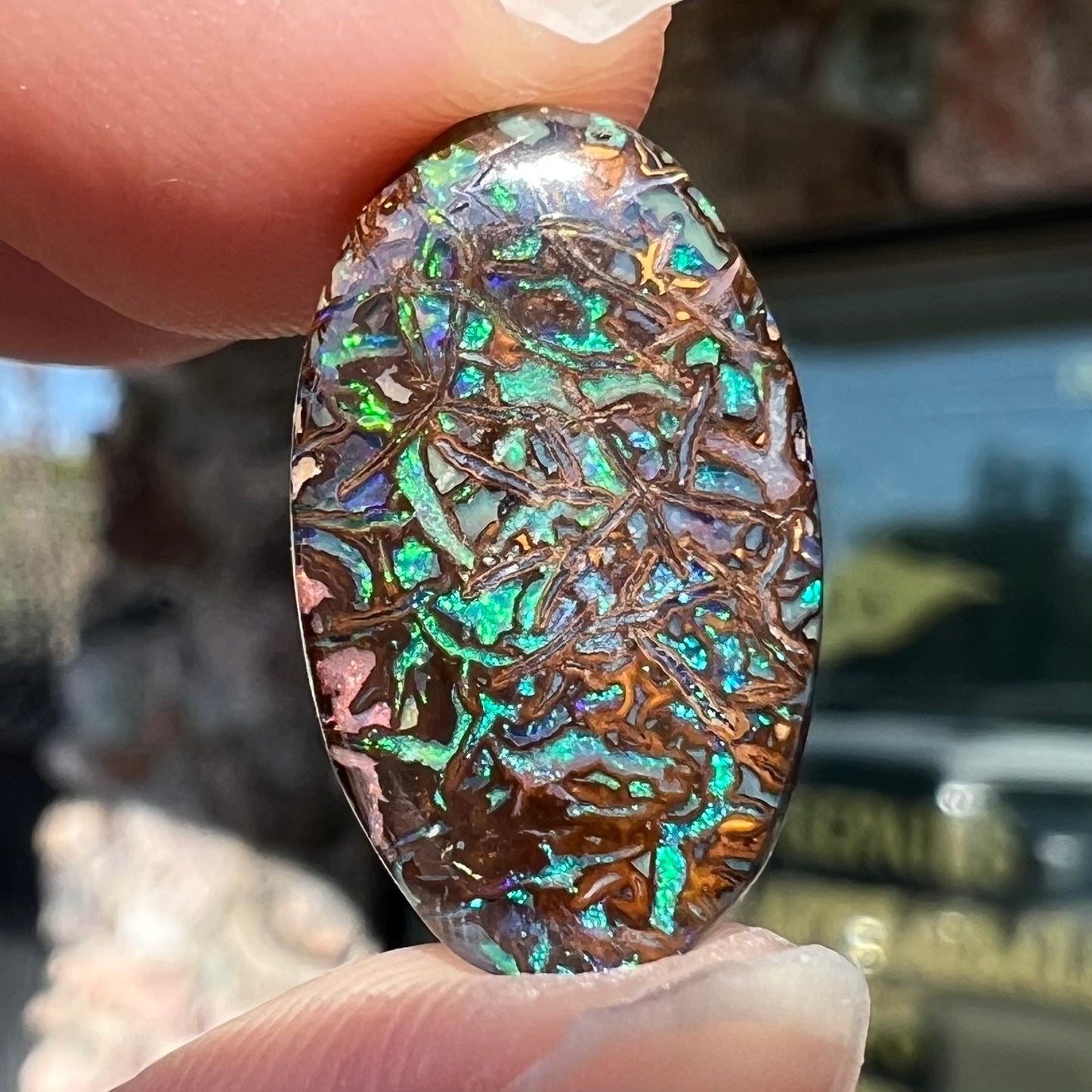 A loose, oval cabochon cut Koroit boulder opal stone. The opal has green and blue veins.