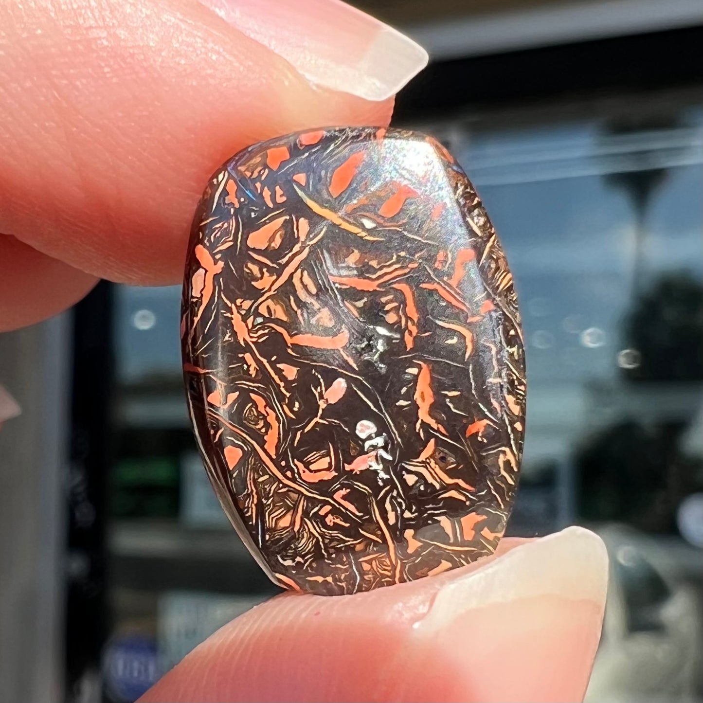 A barrel shaped boulder matrix opal from Koroit, Australia. The opal has blue fire.