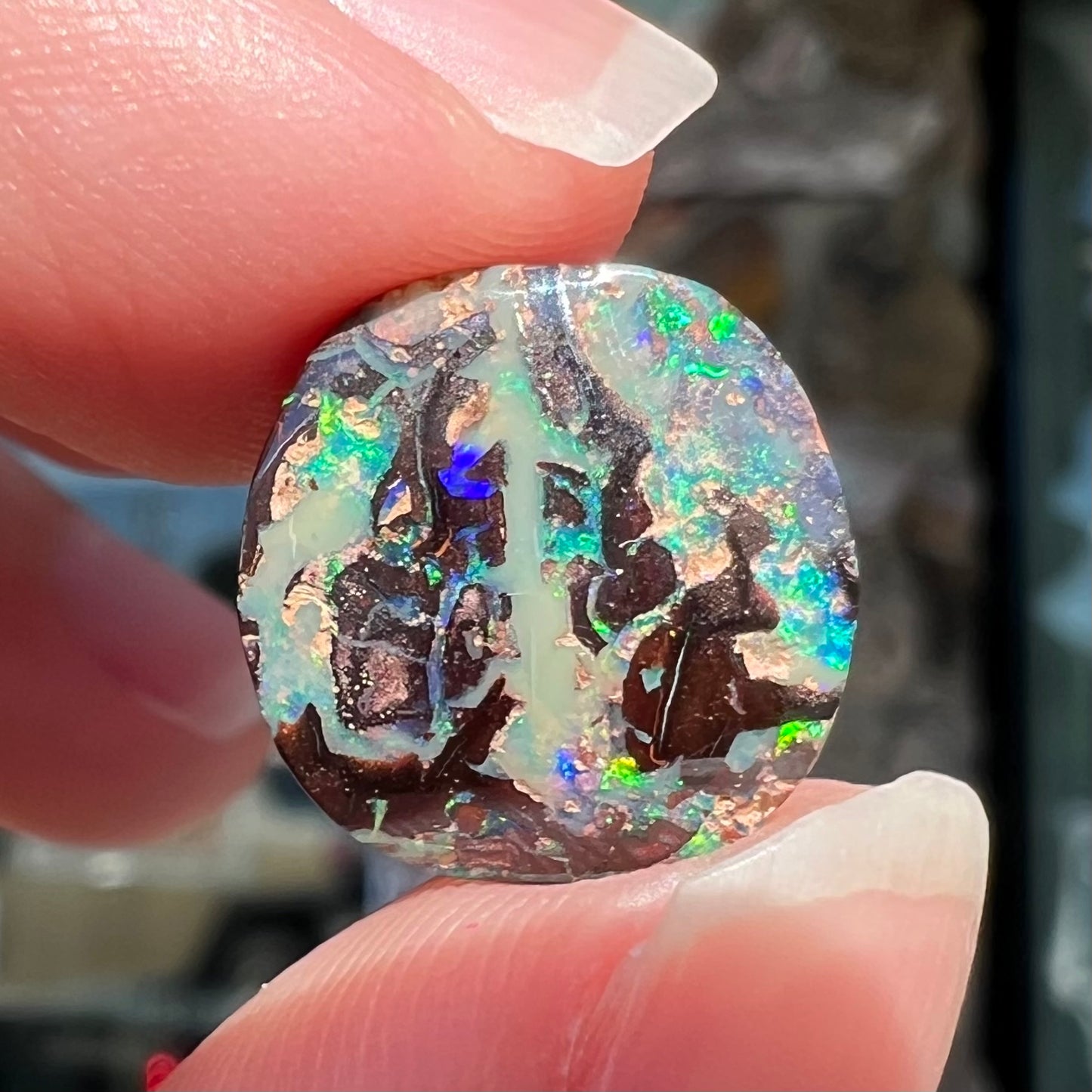 An off-round cabochon cut boulder opal stone from Koroit, Australia. The opal has green, blue, and red colors.