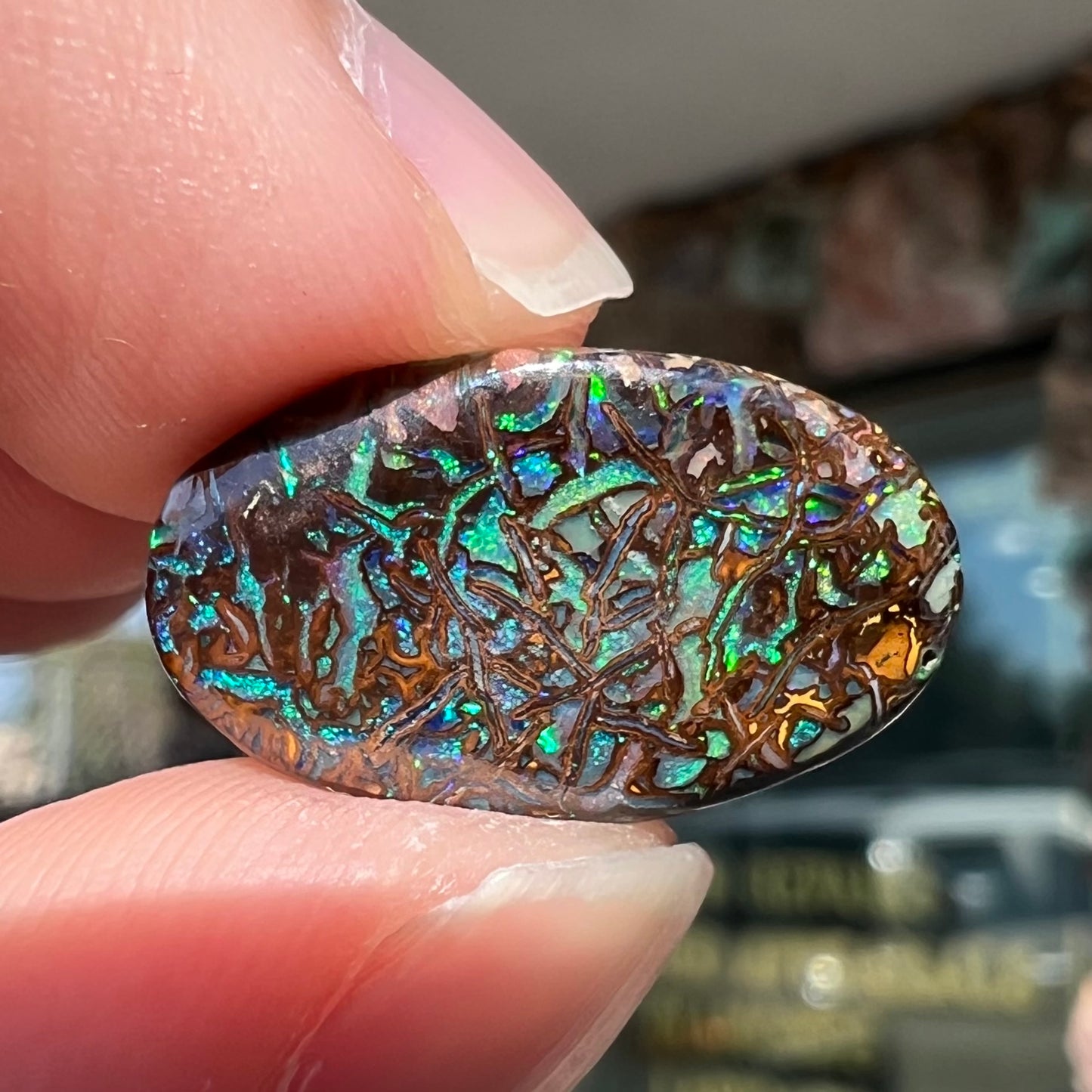 A loose, oval cabochon cut Koroit boulder opal stone. The opal has green and blue veins.