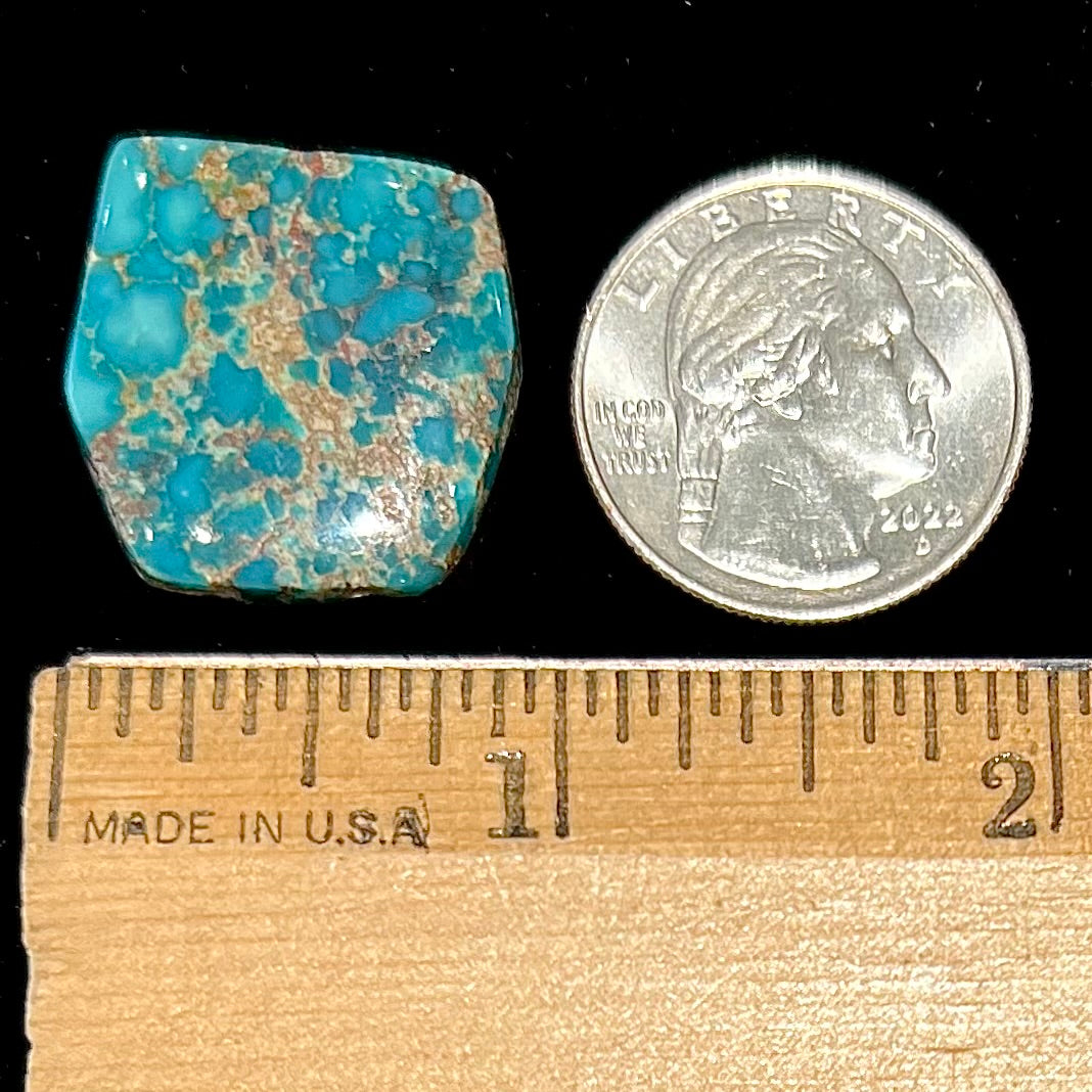 A loose turquoise stone from the Godber-Burnham mine in Lander County, Nevada.