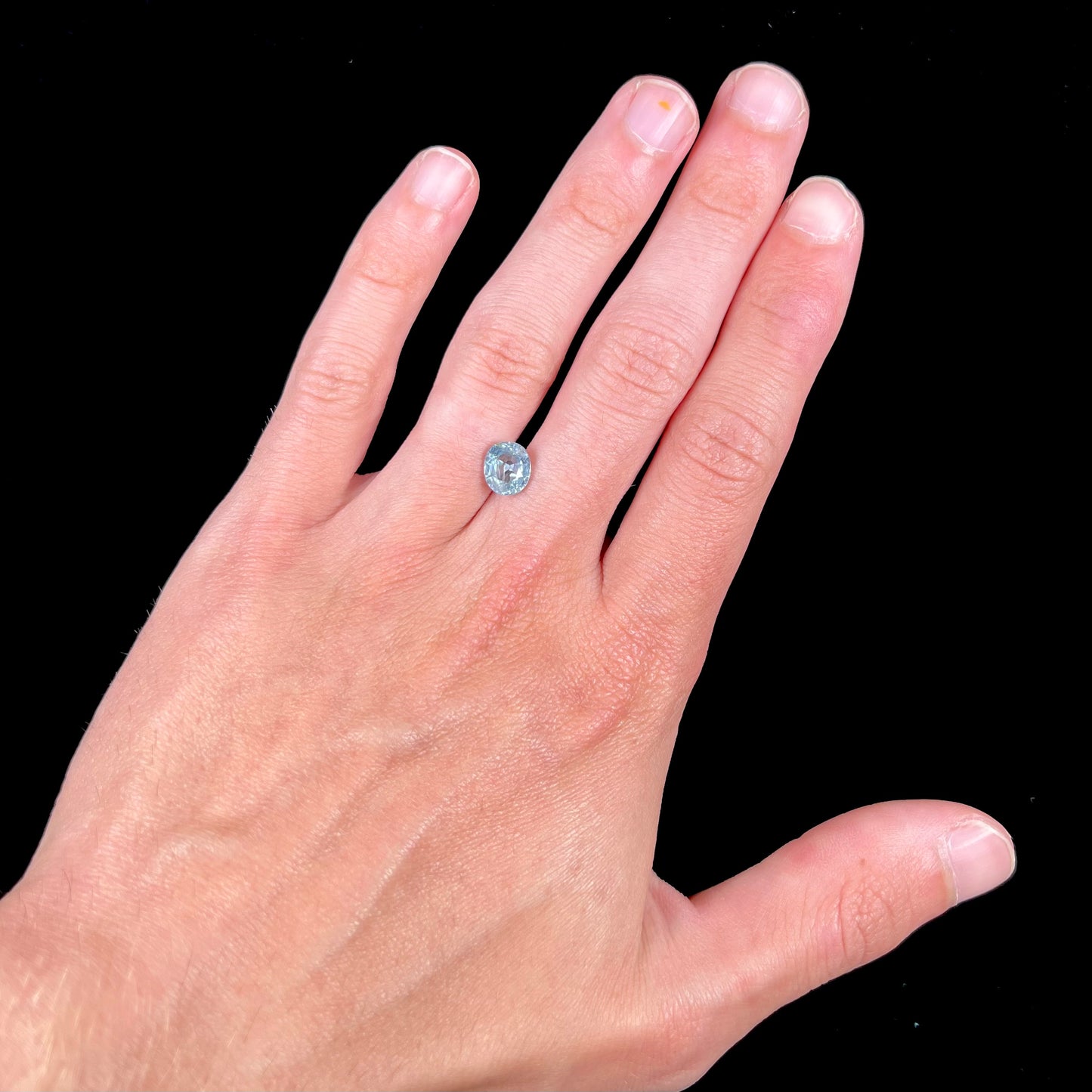 A loose, faceted oval cut light blue natural sapphire gemstone.