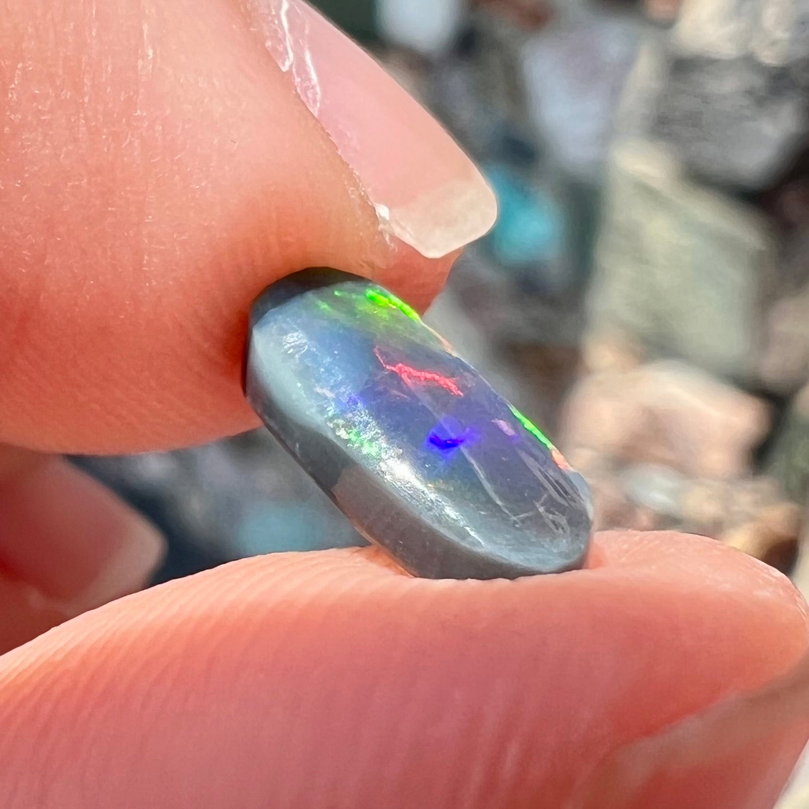 A loose black opal from Lightning Ridge, Australia.  The opal shines colors of red, green, and blue.
