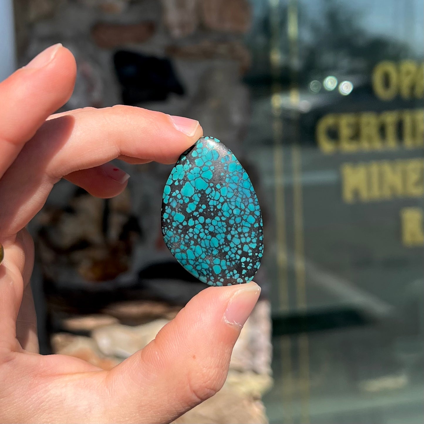 A polished, freeform shaped spiderweb turquoise cabochon from Lone Mountain Mine in Esmeralda County, Nevada.