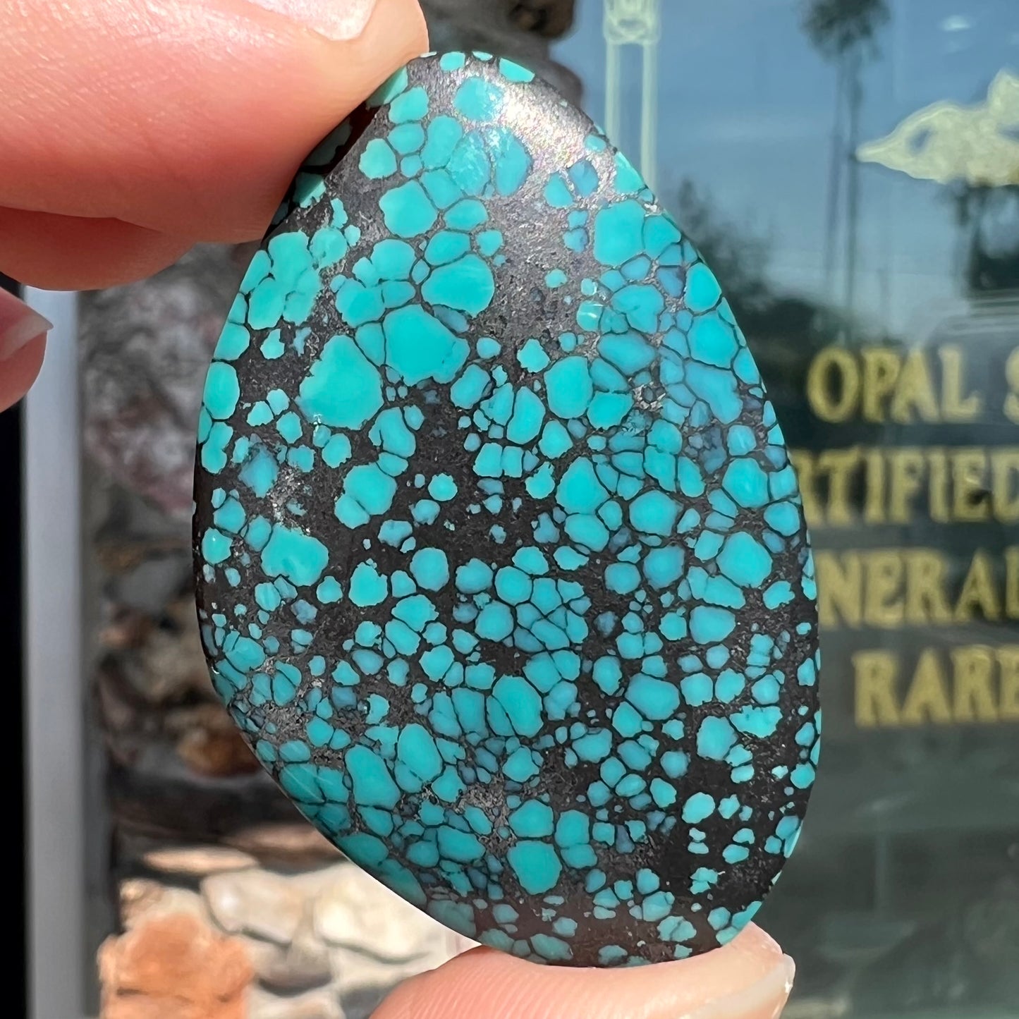 A polished, freeform shaped spiderweb turquoise cabochon from Lone Mountain Mine in Esmeralda County, Nevada.