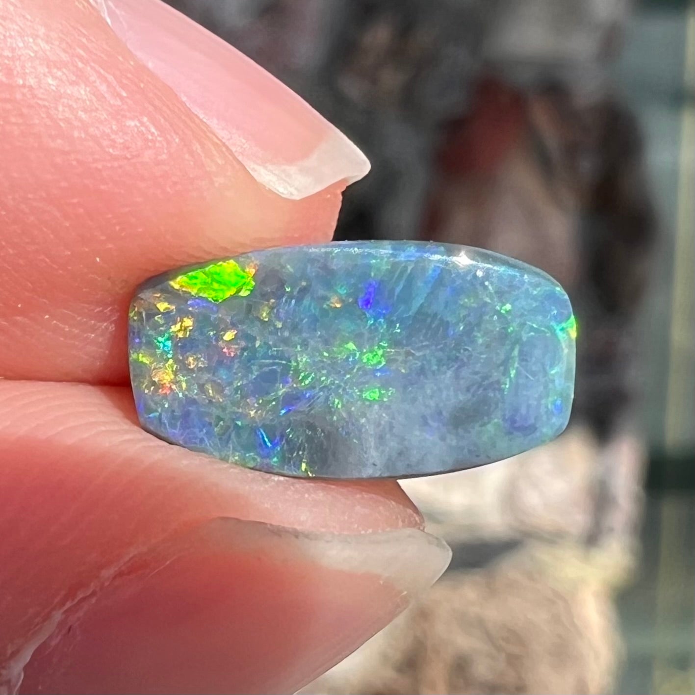 A loose 1.76ct barrel shaped black opal stone from Lightning Ridge, Australia. The opal has a rainbow of colors.