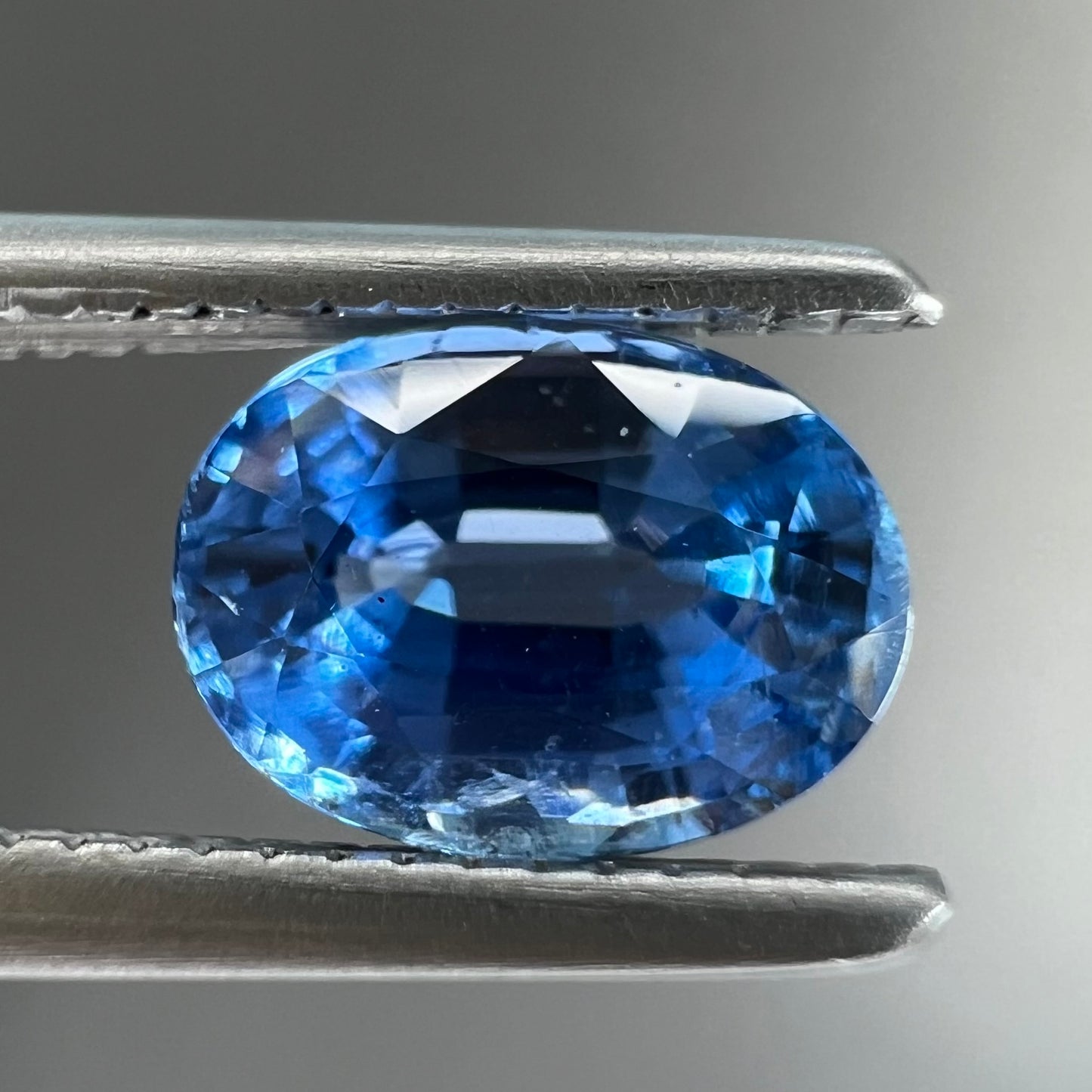 A loose, faceted oval cut blue kyanite gemstone.
