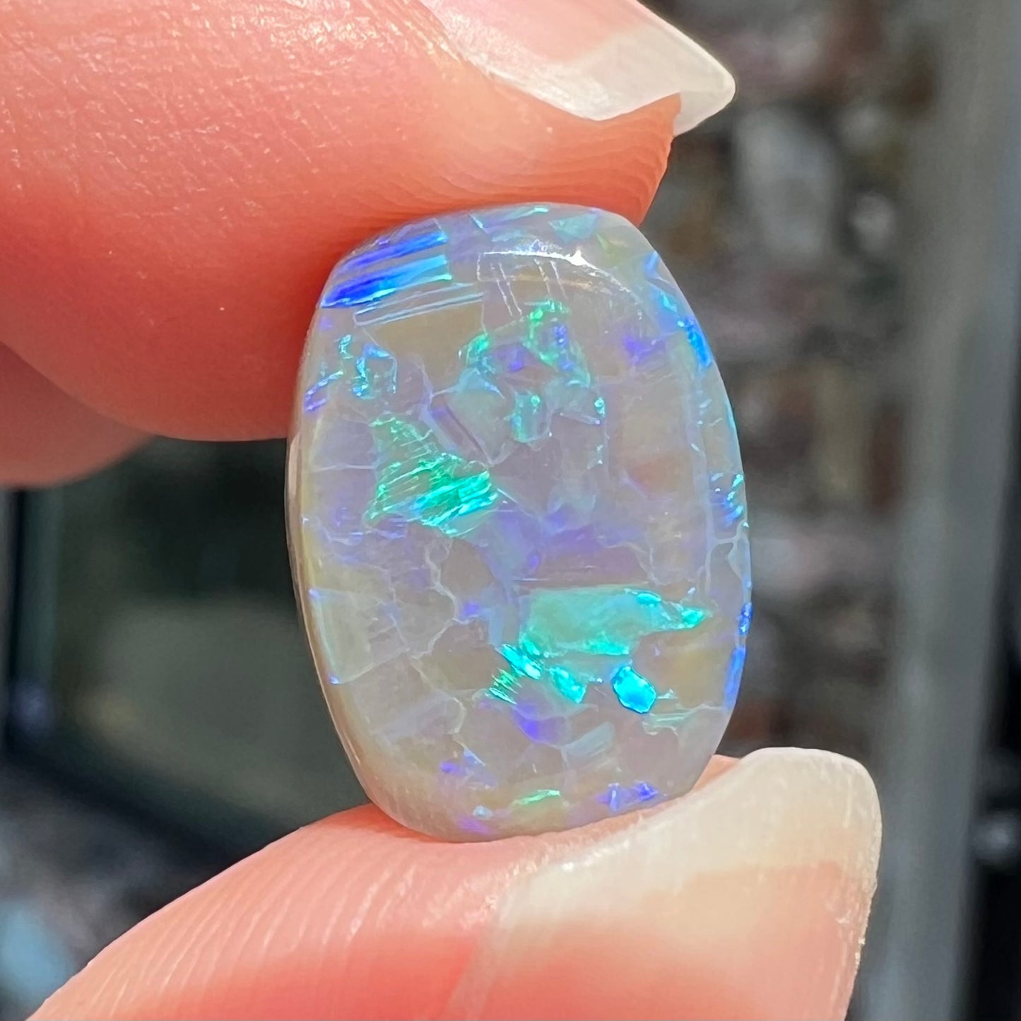 A loose, barrel shaped semi-black opal from Lightning Ridge, Australia. The opal has blue colors.