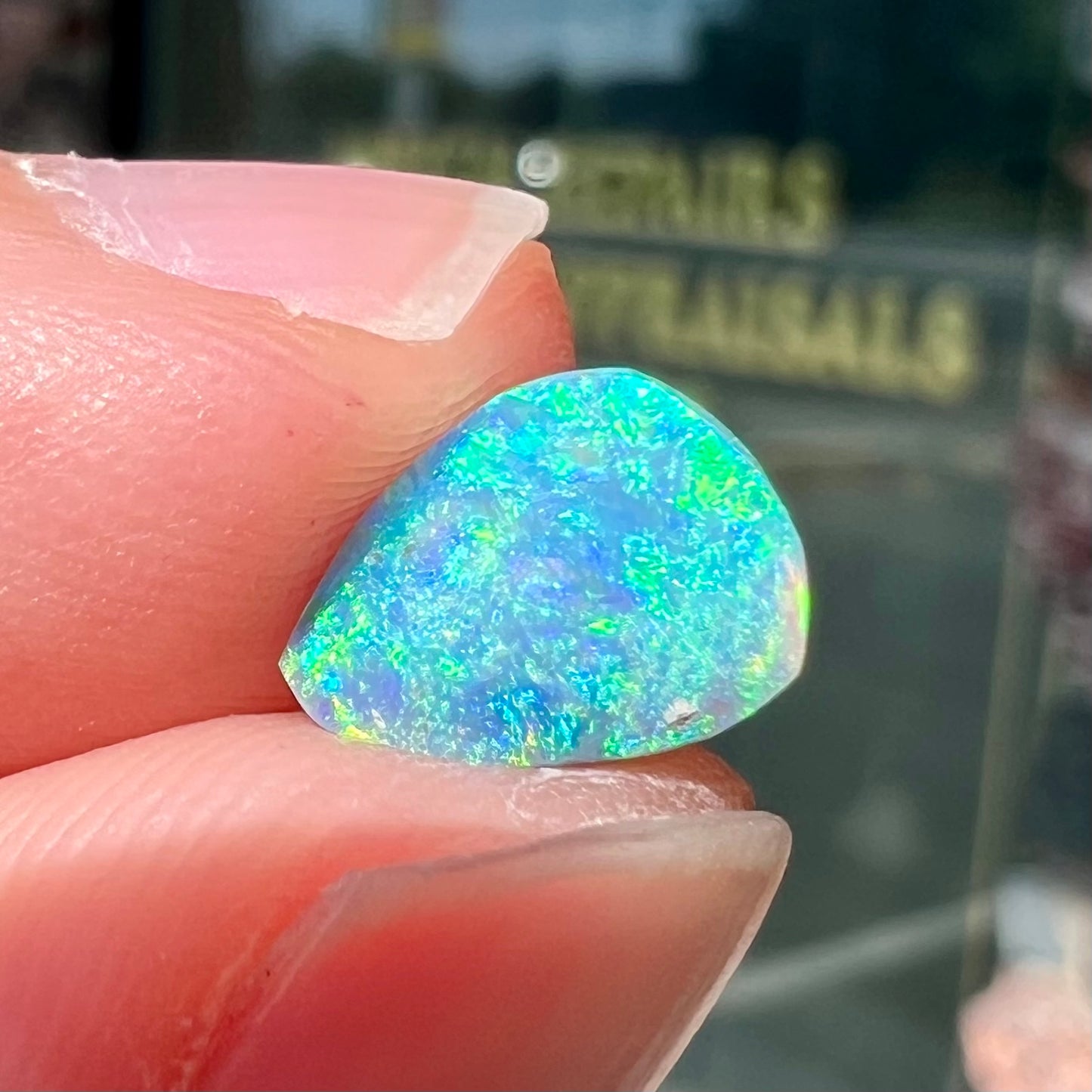 A loose, pear shaped black opal from LIghtning Ridge, Australia. The opal shines blue and green colors.