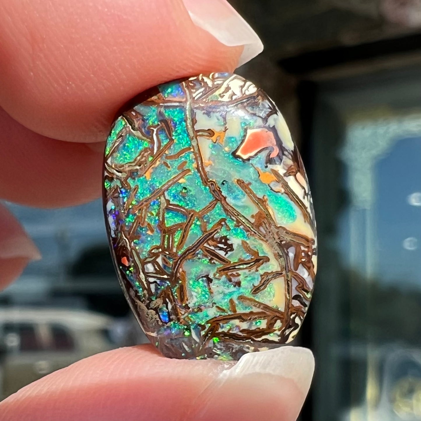 A barrel shaped boulder matrix opal from Koroit, Australia. The opal has blue fire.