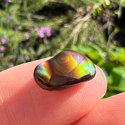 An iridescent, freeform cabochon cut fire agate from Mexico.  The stone has a bull's eye pattern and bright colors.