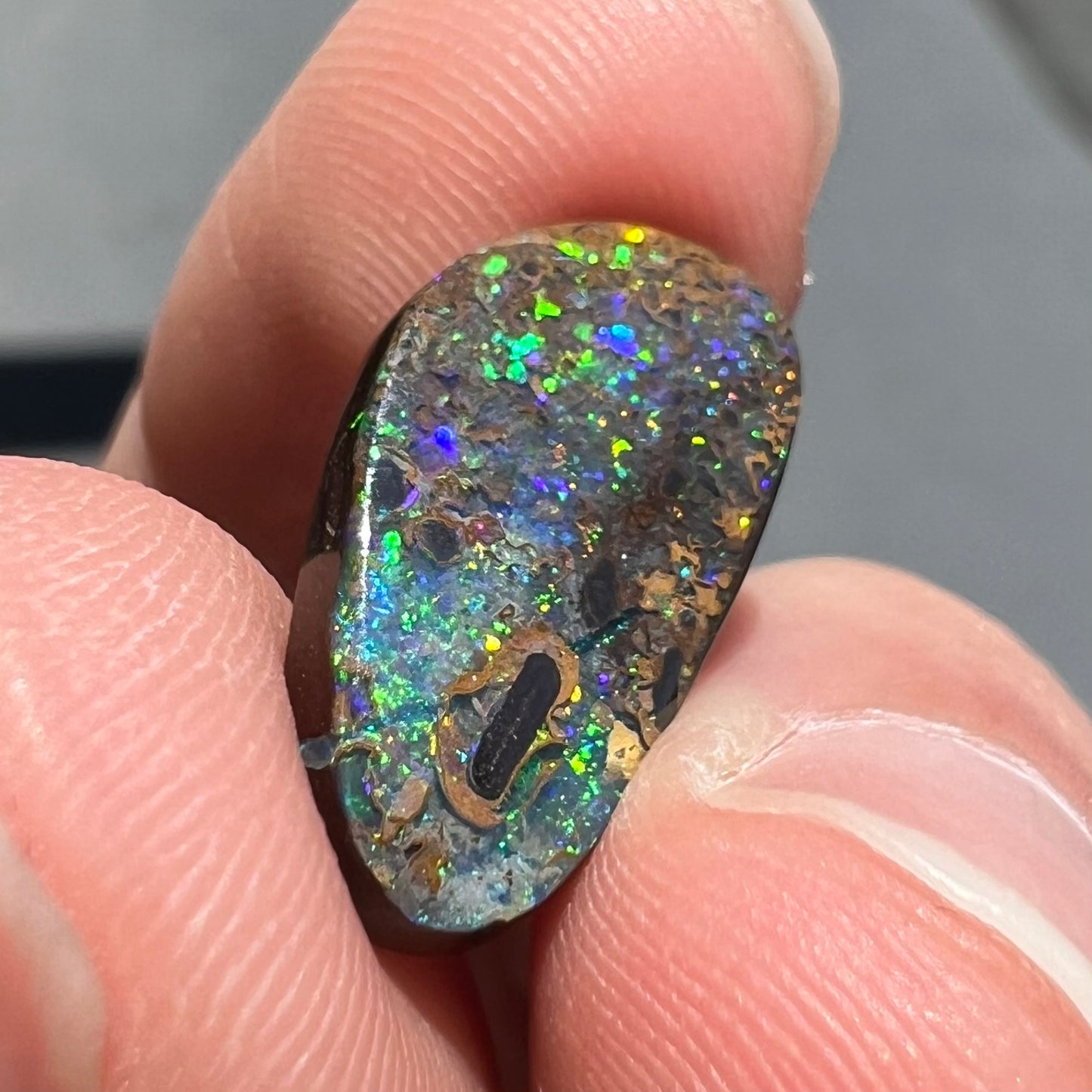 A loose boulder opal stone from Quilpie, Australia. The opal shines colors of green and orange.