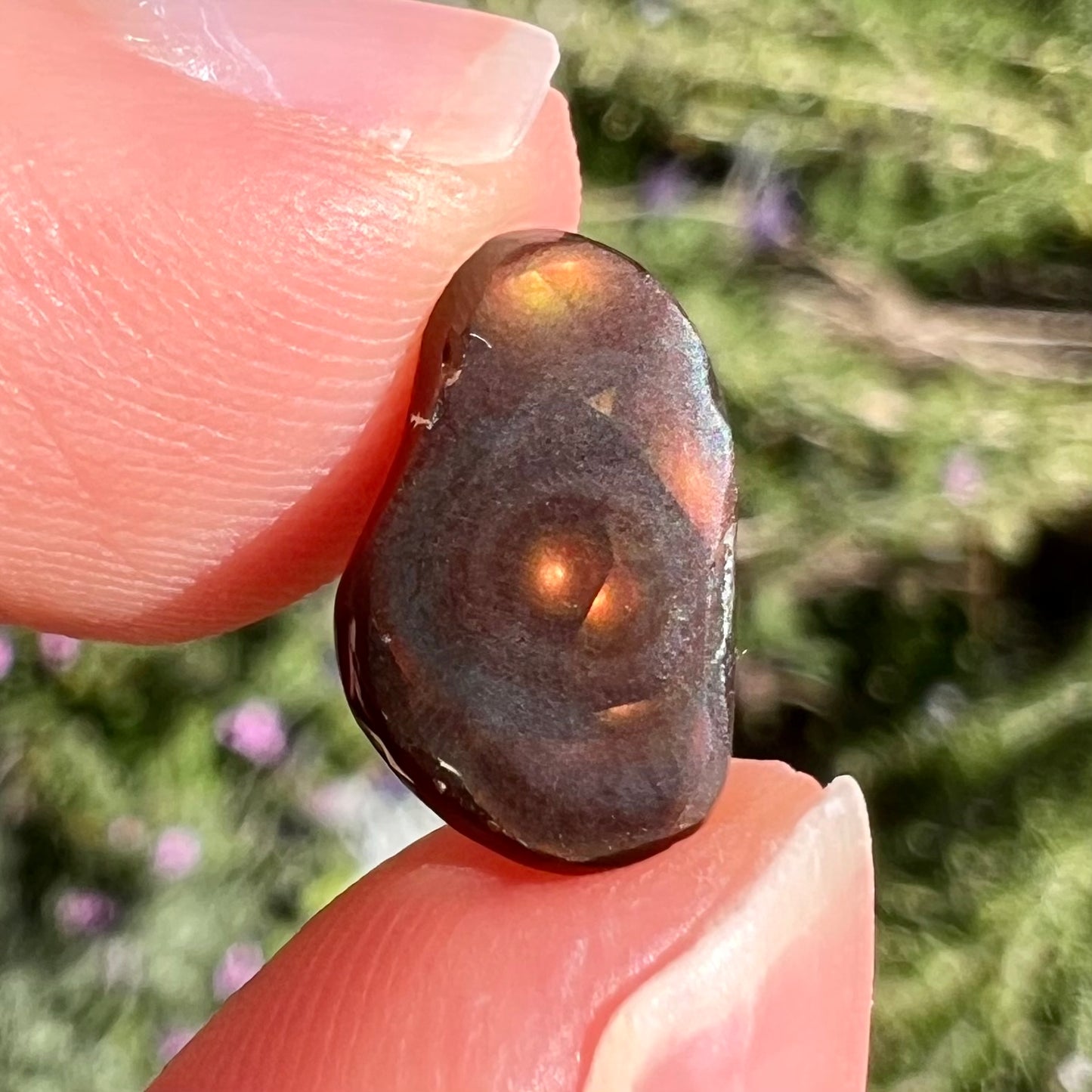 A loose, imperial grade Mexican fire agate gemstone.  The stone has a bull's eye pattern.