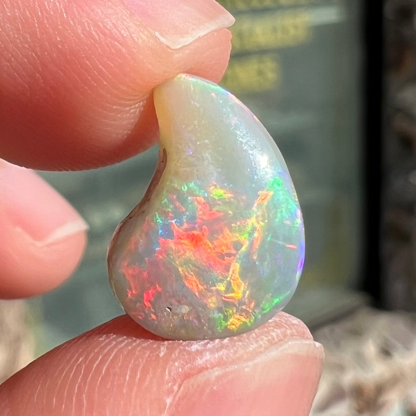 A loose, drop shaped opal stone from Lightning Ridge, Australia. The stone has bright red fire.