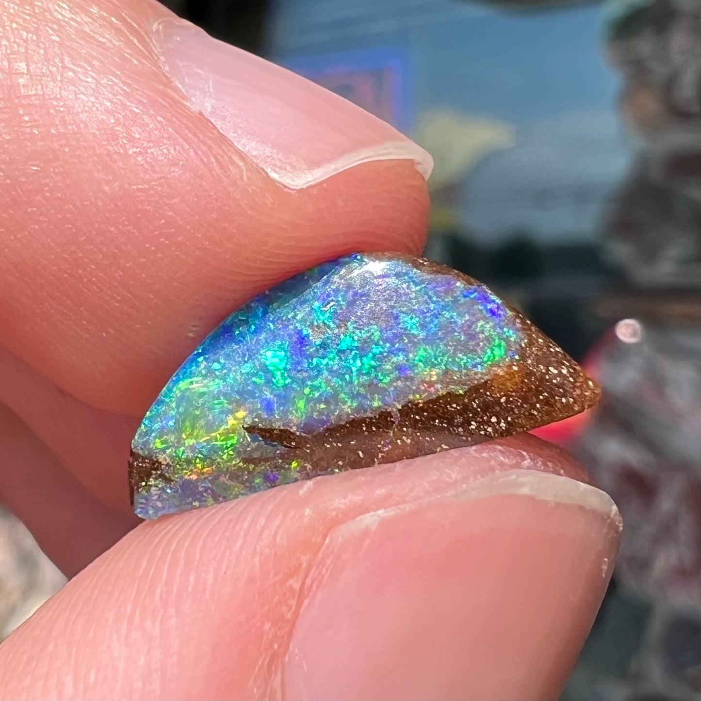 A freeform shaped boulder opal stone from Quilpie, Australia. The opal has bright blue and green play of color.