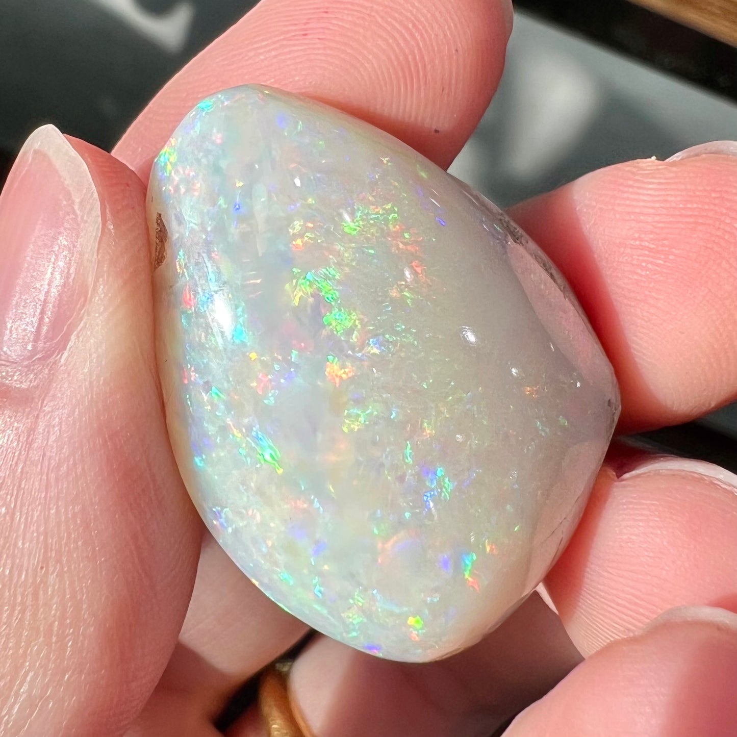 An opalized seashell fossil that displays play of color.  The full color spectrum is visible, including red, green, blue, and purple.