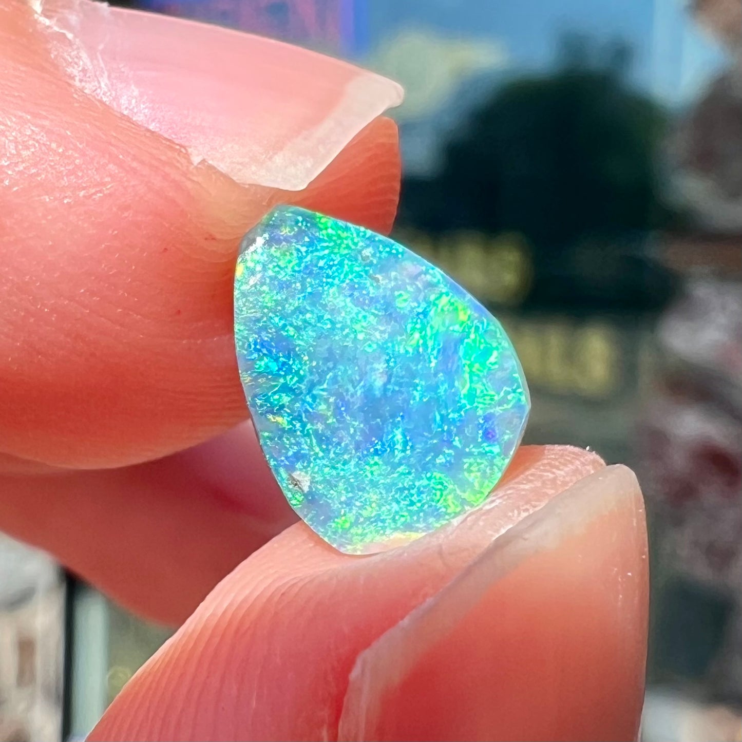 A loose, pear shaped black opal from LIghtning Ridge, Australia. The opal shines blue and green colors.