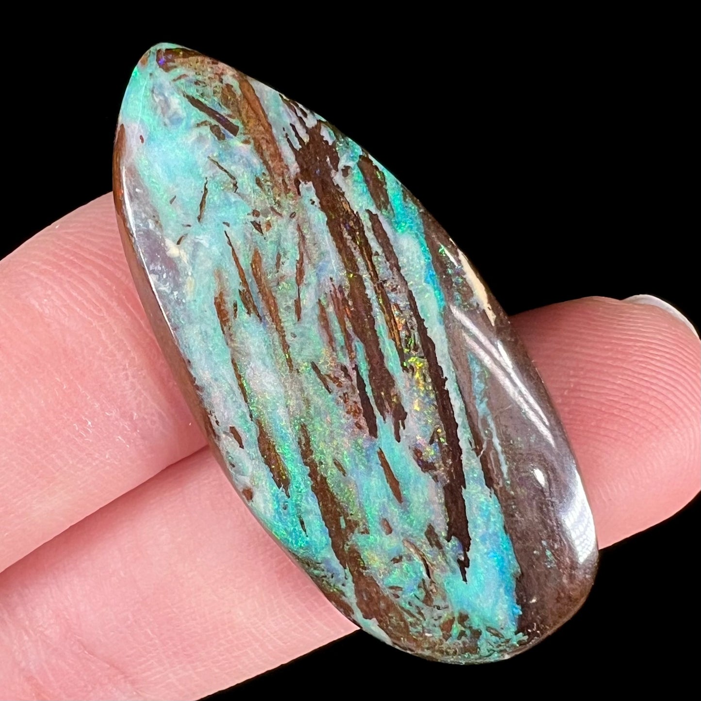 Pear shaped opalized wood stone from Duck Creek, Australia. The opal is predominantly blue.
