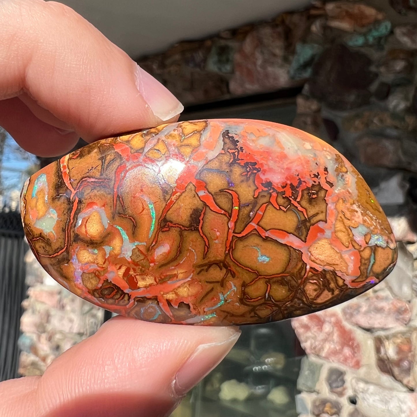 A polished boulder opal stone from Koroit, Australia. The stone has been drilled with a bead hole.